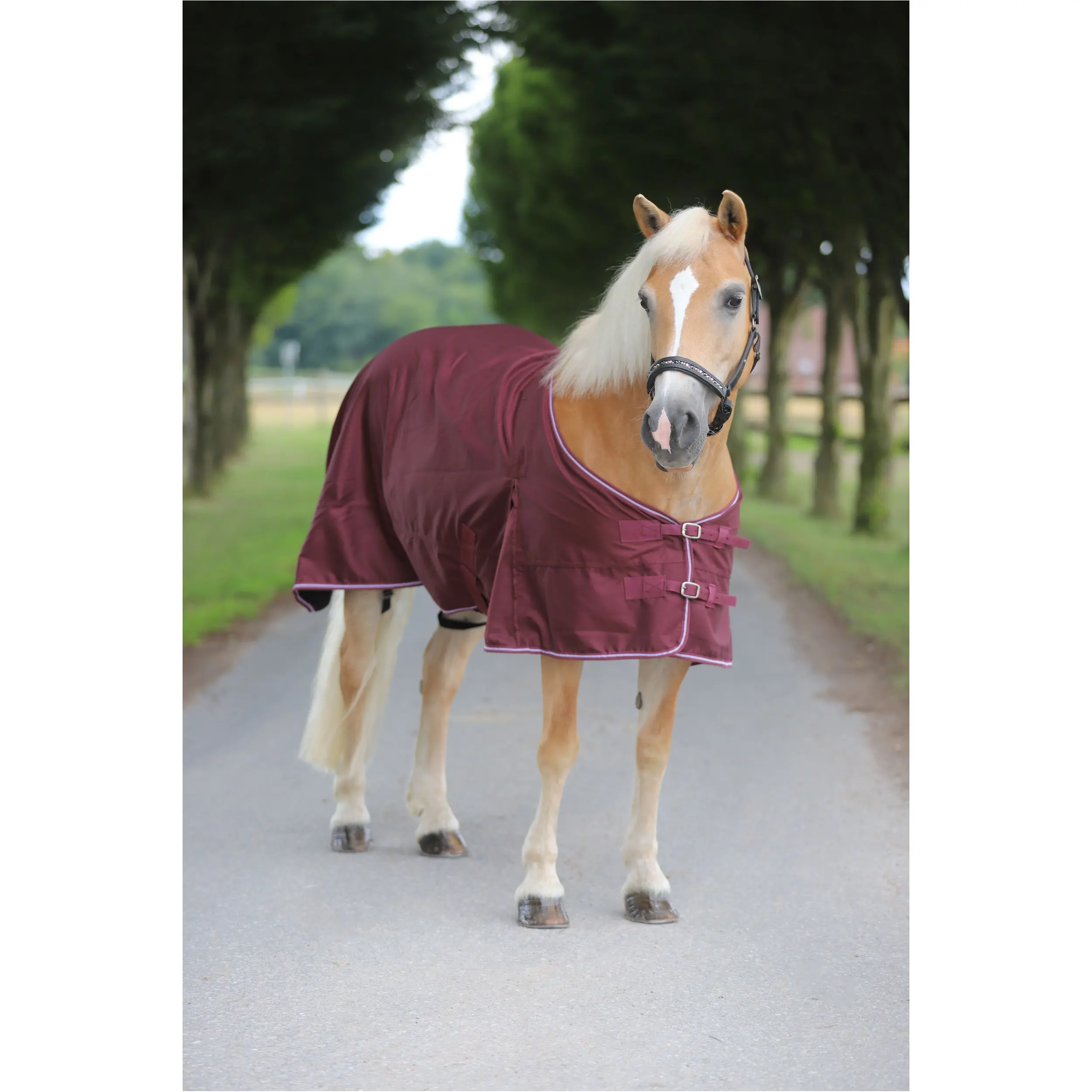 Regendecke 600D COMFORT burgunderrot