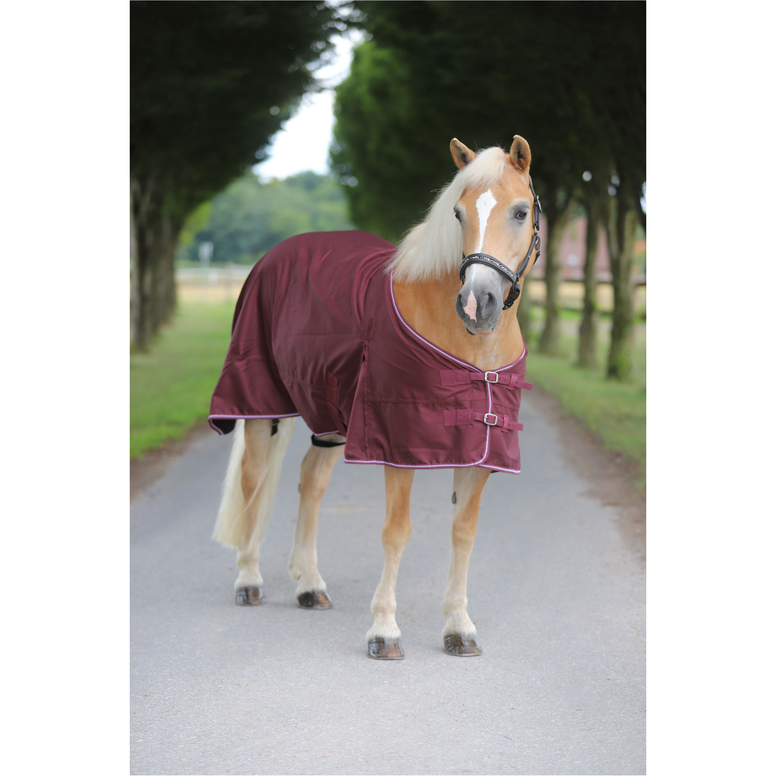 Regendecke 600D COMFORT burgunderrot