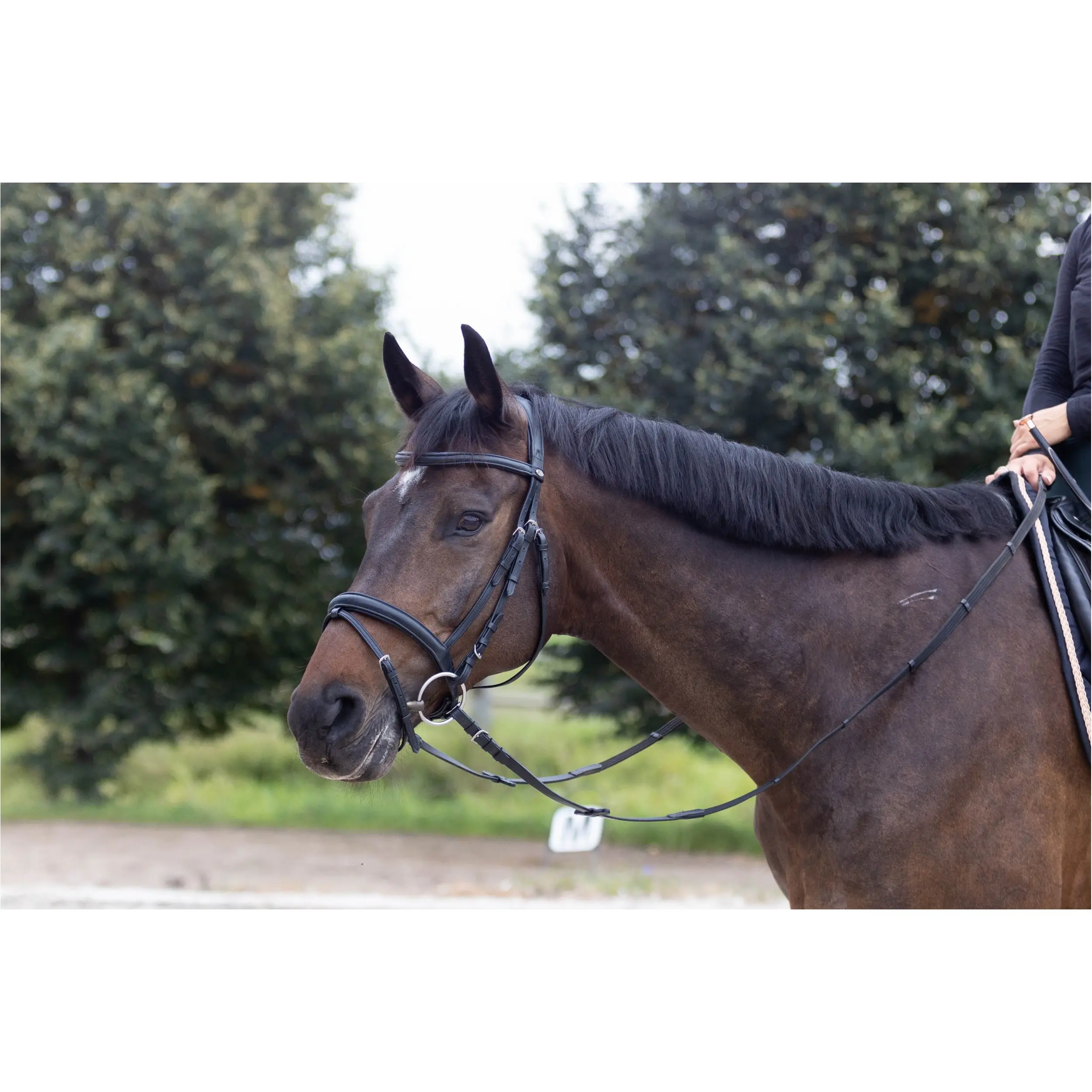 Trensenzaum Soft COMFORT schwarz