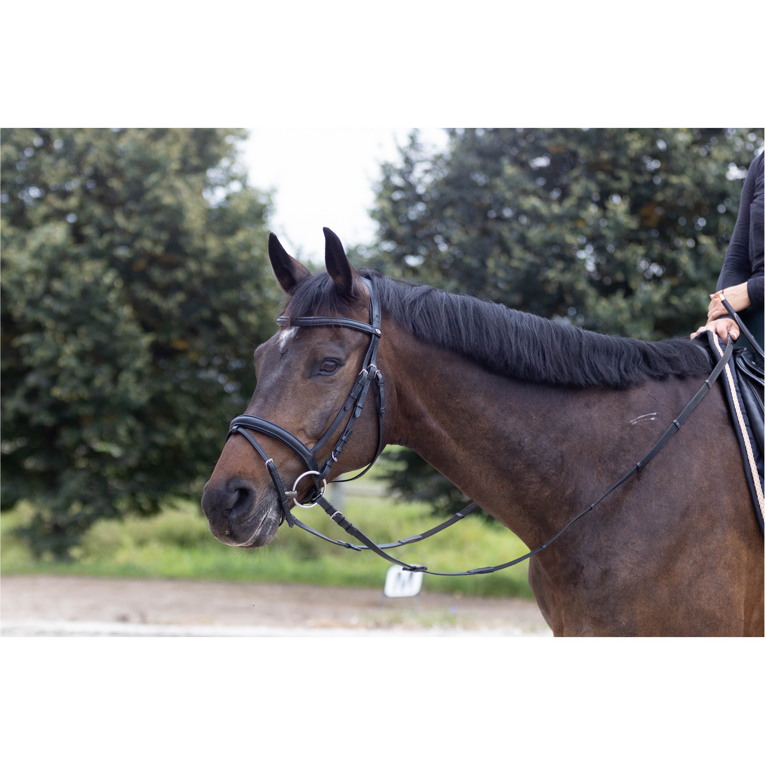 Trensenzaum Soft COMFORT schwarz