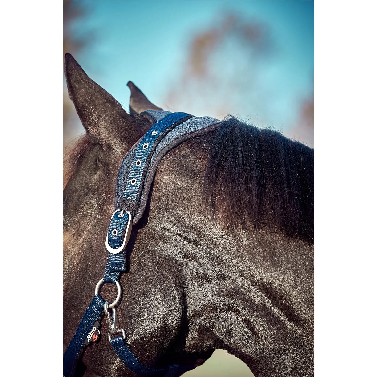 Halfter FIR-Tech blau