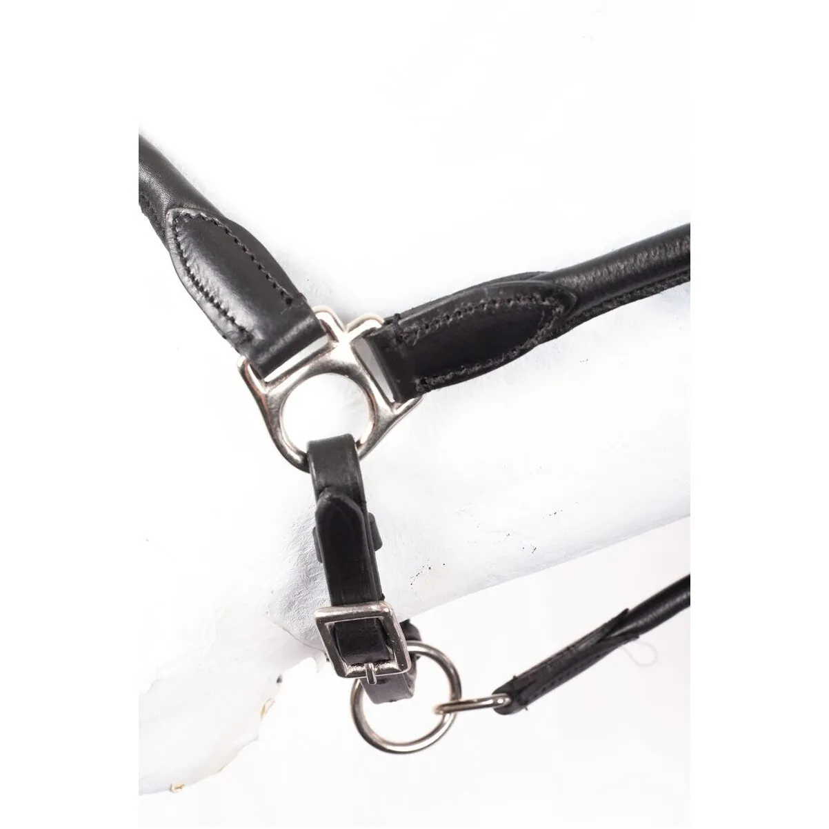 Halfter rundgenäht BASICLINE Leder schwarz