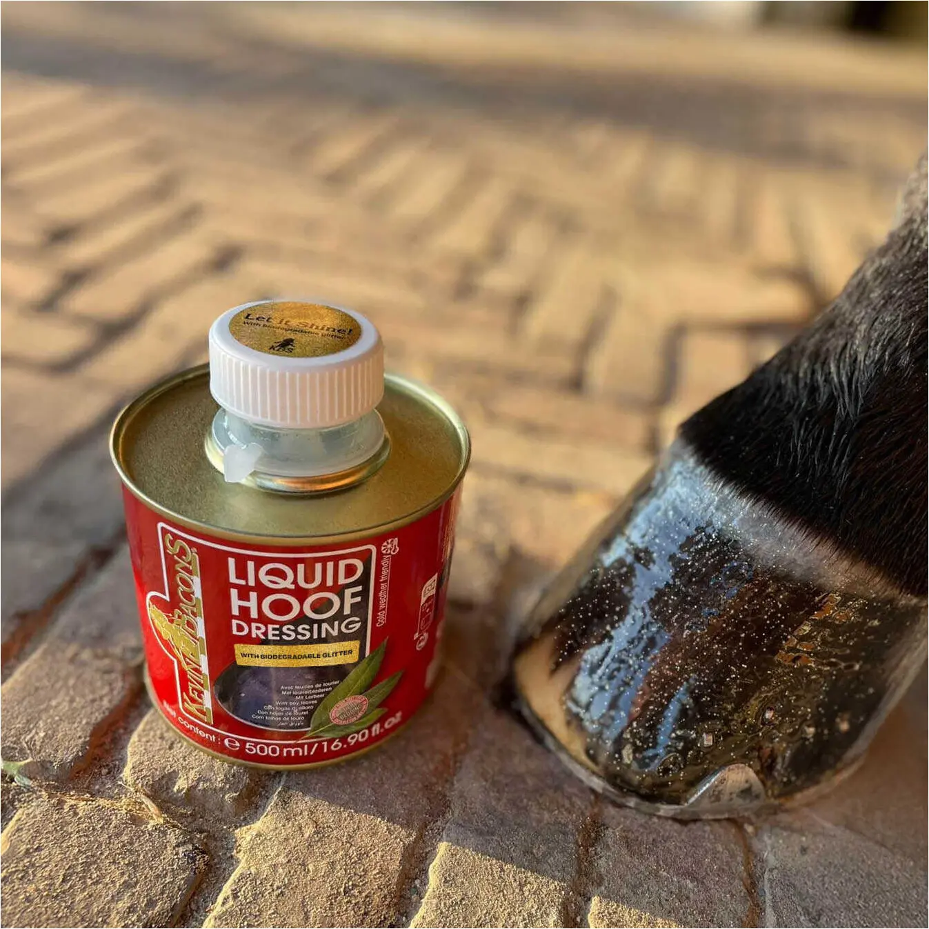 Huföl mit Glitzer HOOF DRESSING
