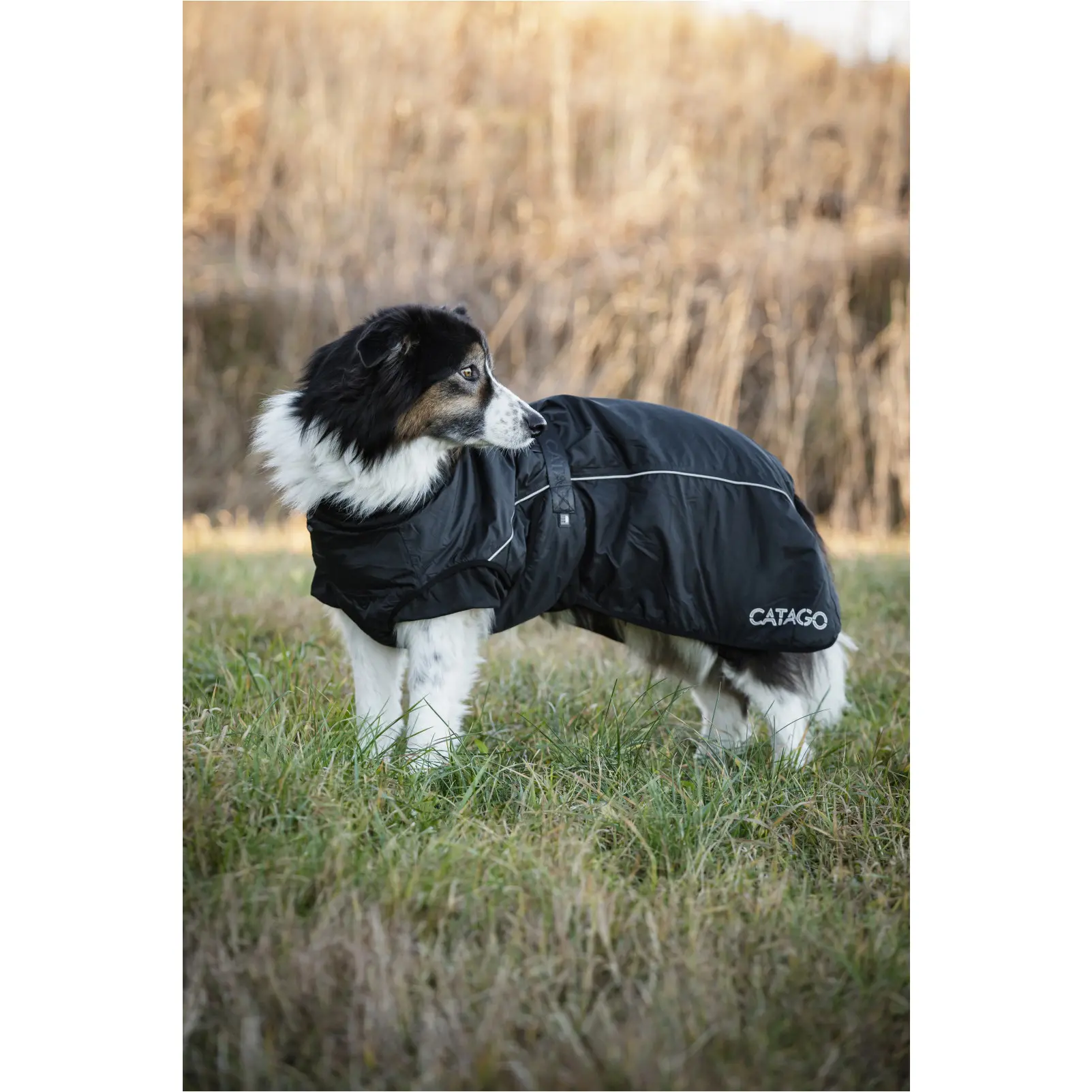 Winter Hundedecke FIR-Tech schwarz