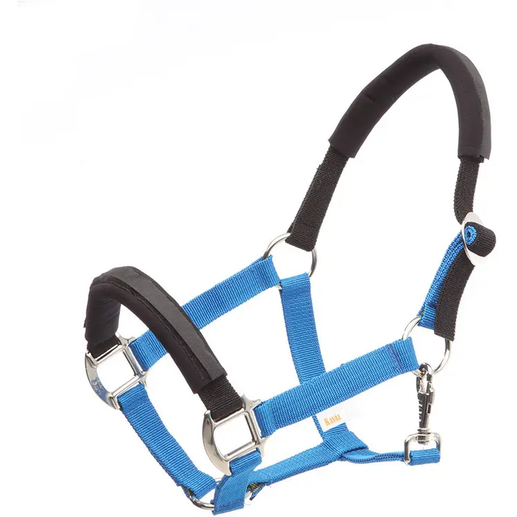 cyan/schwarz