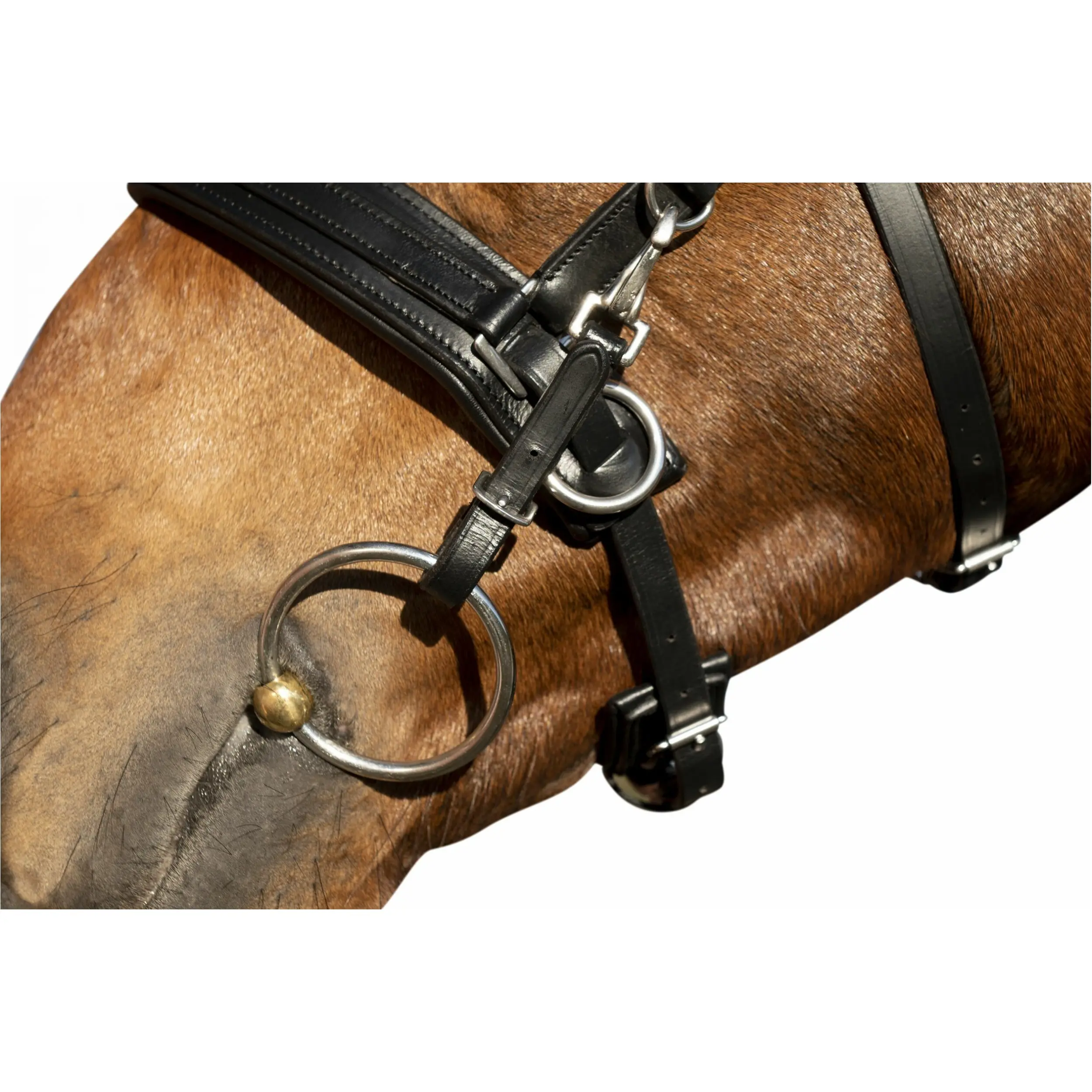 Kappzaum COMFORT schwarz