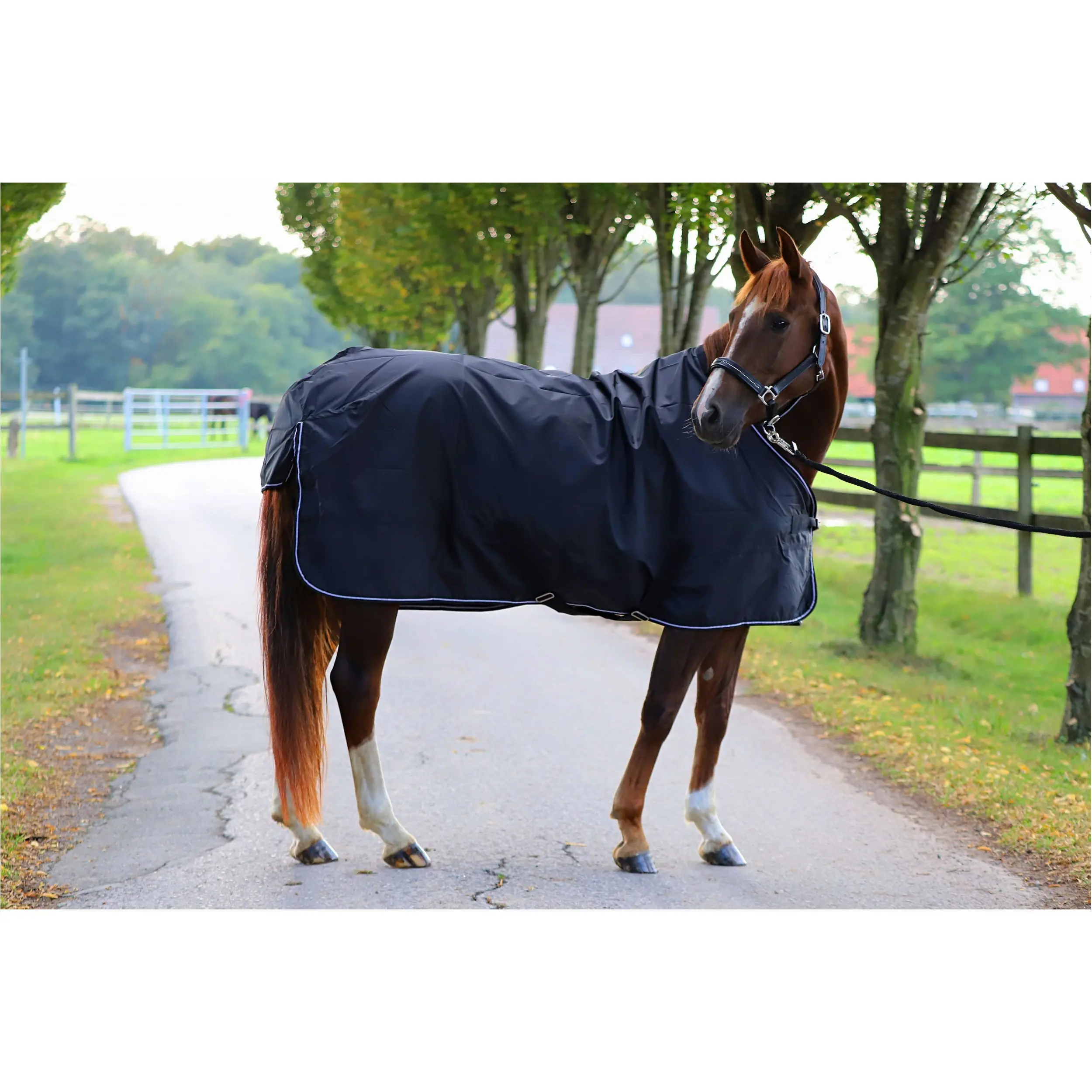 Regendecke 420D ECONOMIC schwarz Regendecke 420D ECONOMIC schwarz