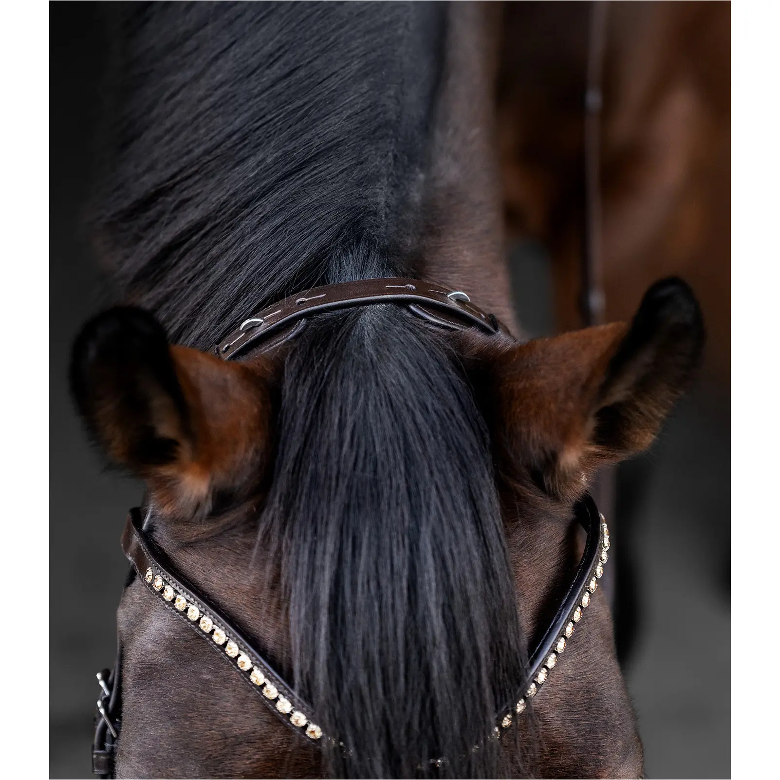 Trensenzaum X-Line RELAXATION braun