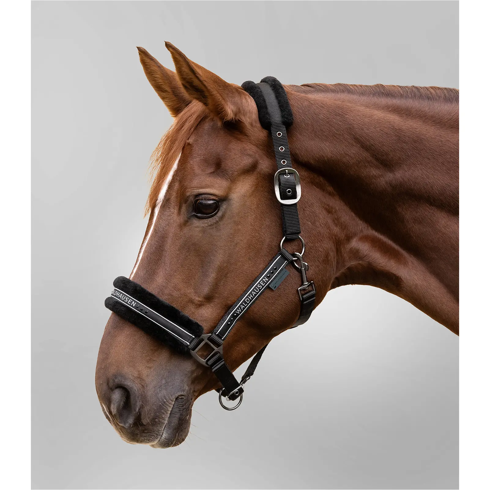 Halfter ELEGANT schwarz/schwarz