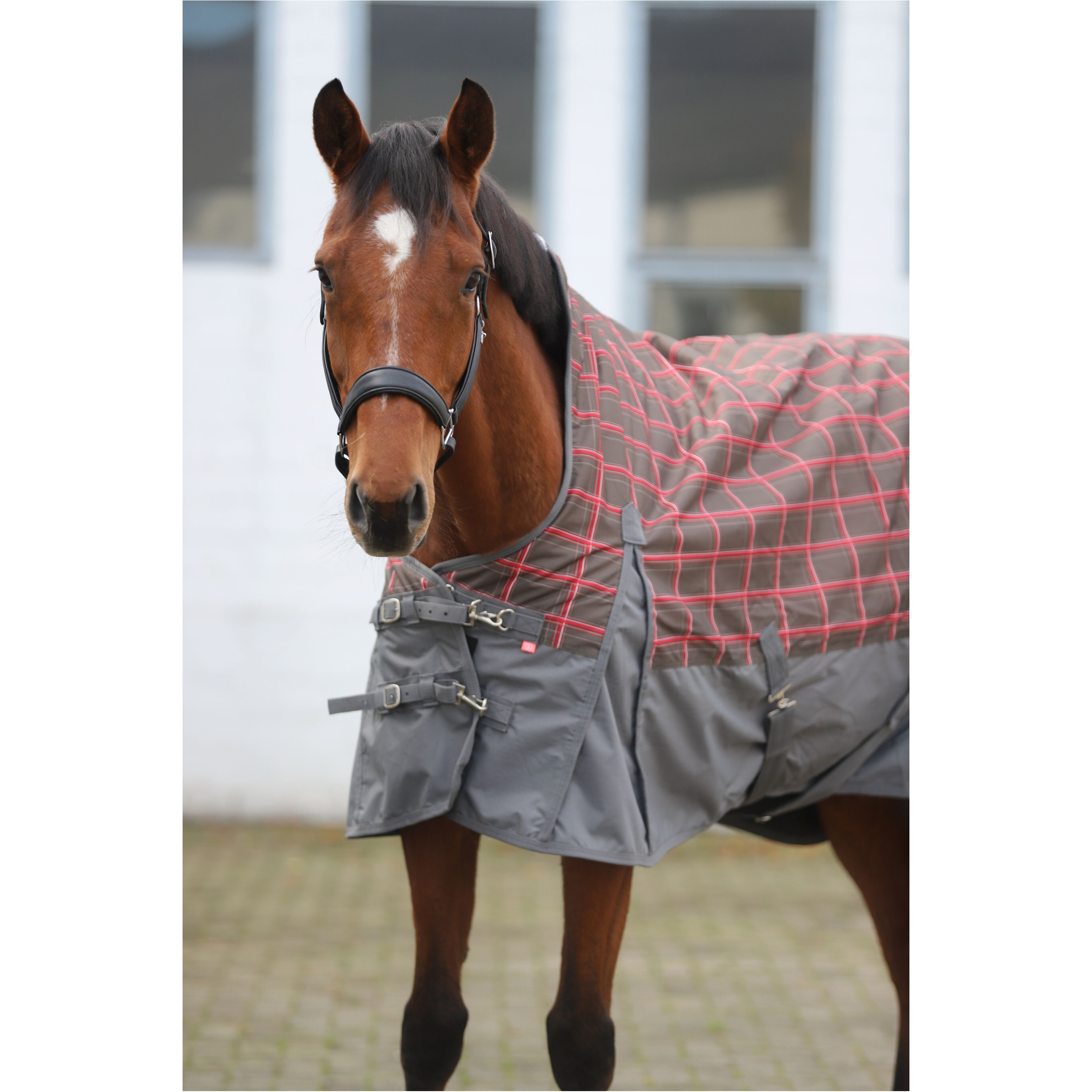 Outdoordecke High Neck 600D IRHCustomized grey check/grey Outdoordecke High Neck 600D IRHCustomized grey check/grey