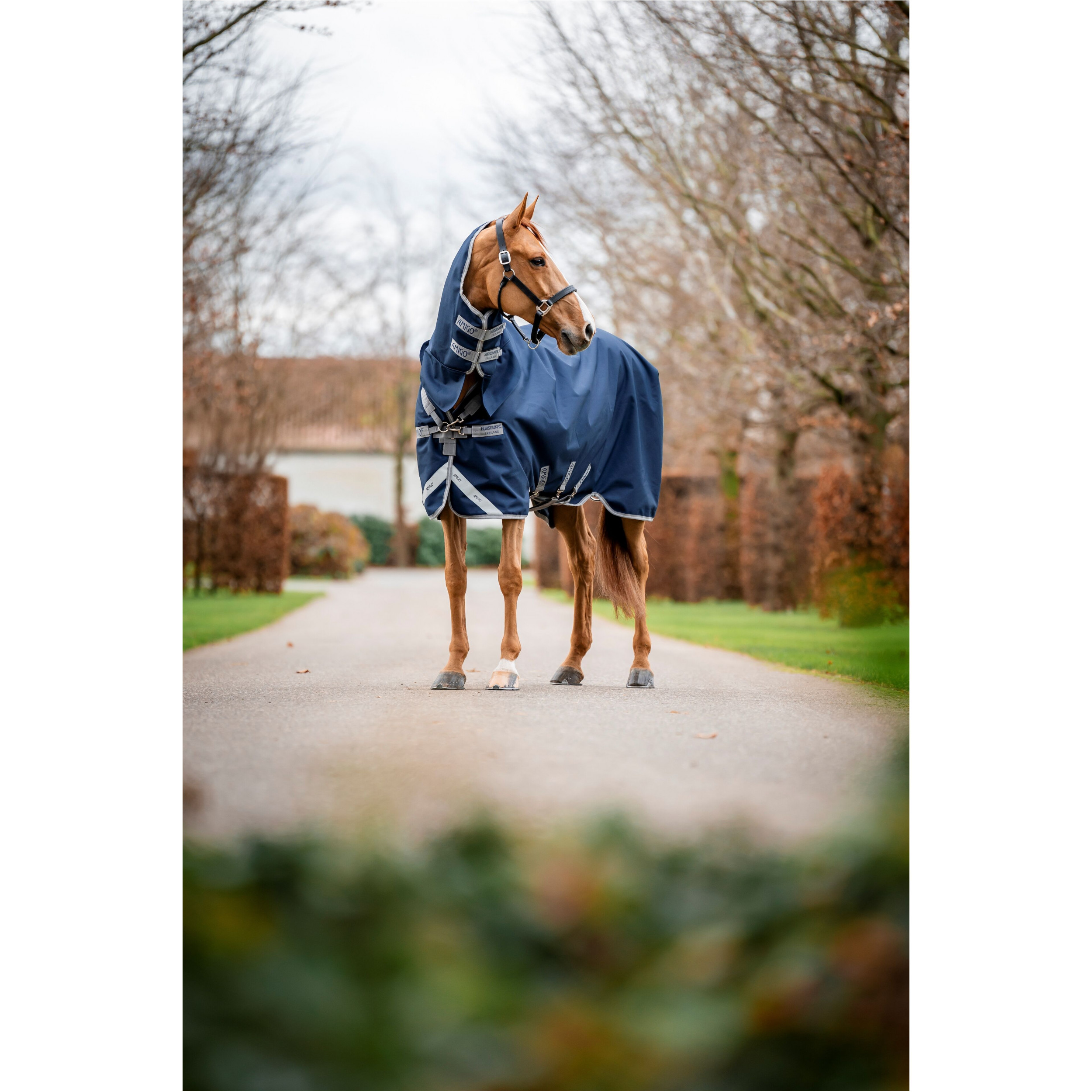 Outdoordecke mit festem Halsteil 1200D AMIGO Bravo integrated Turnout navy/titanium grey/silver