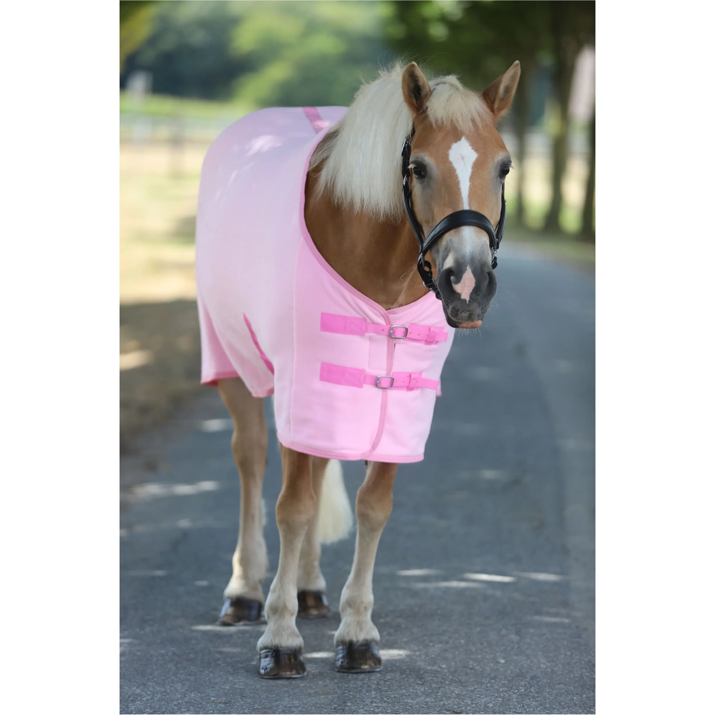 Abschwitzdecke mit Kreuzgurt BASICLINE rosa Abschwitzdecke mit Kreuzgurt BASICLINE rosa