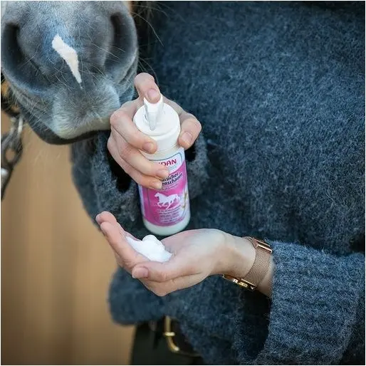 Natürlicher Mähnenschaum Einflechtwunder 200ml