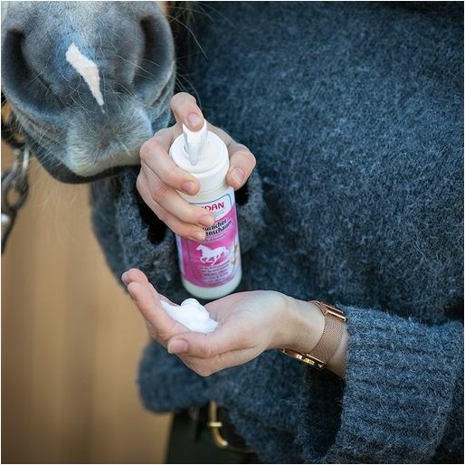 Natürlicher Mähnenschaum Einflechtwunder 200ml