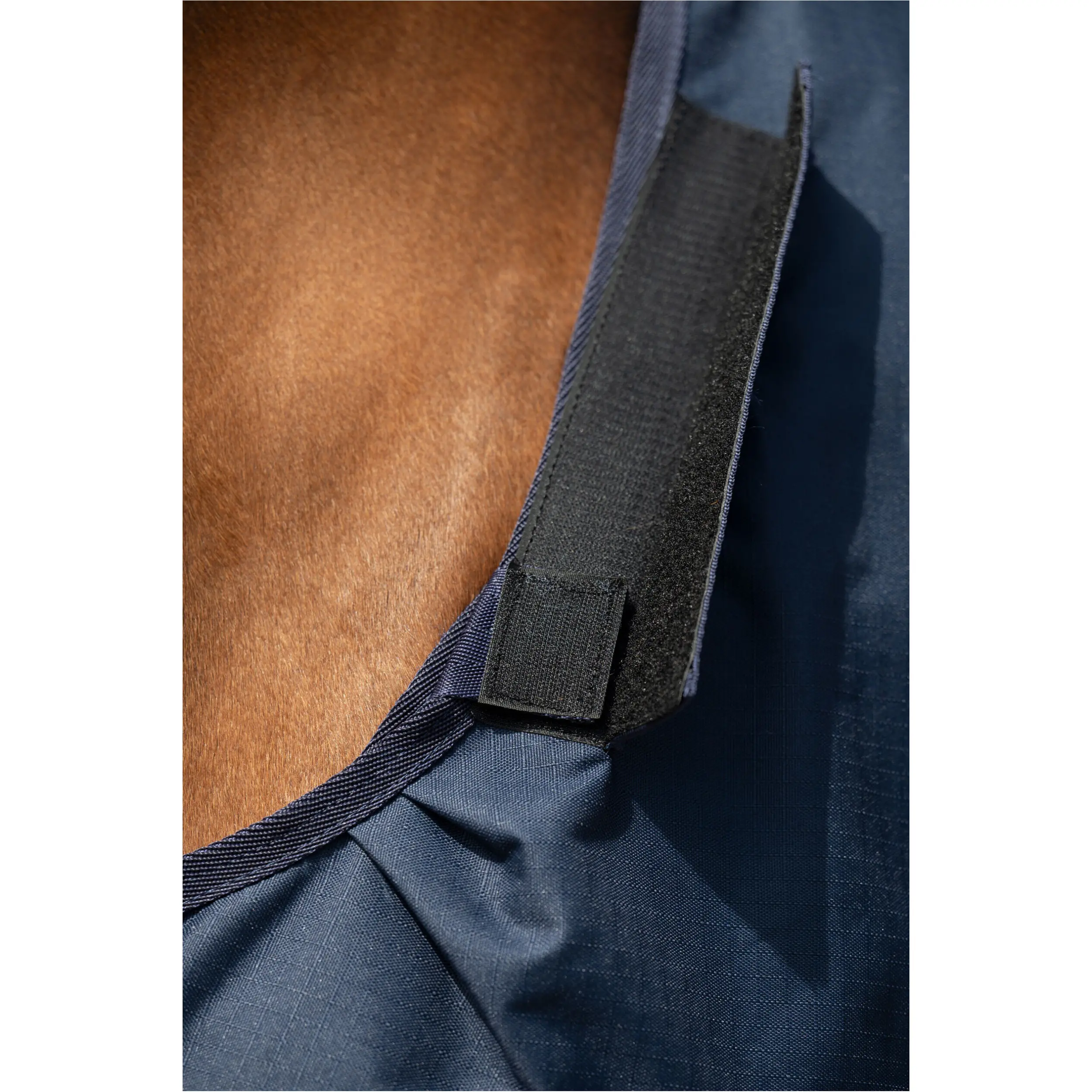 Weidedecke Halsteil (abnehmbar) 600D mit Clip in System ohne Liner KOMBI 2 dunkelblau Weidedecke Halsteil (abnehmbar) 600D mit Clip in System ohne Liner KOMBI 2 dunkelblau