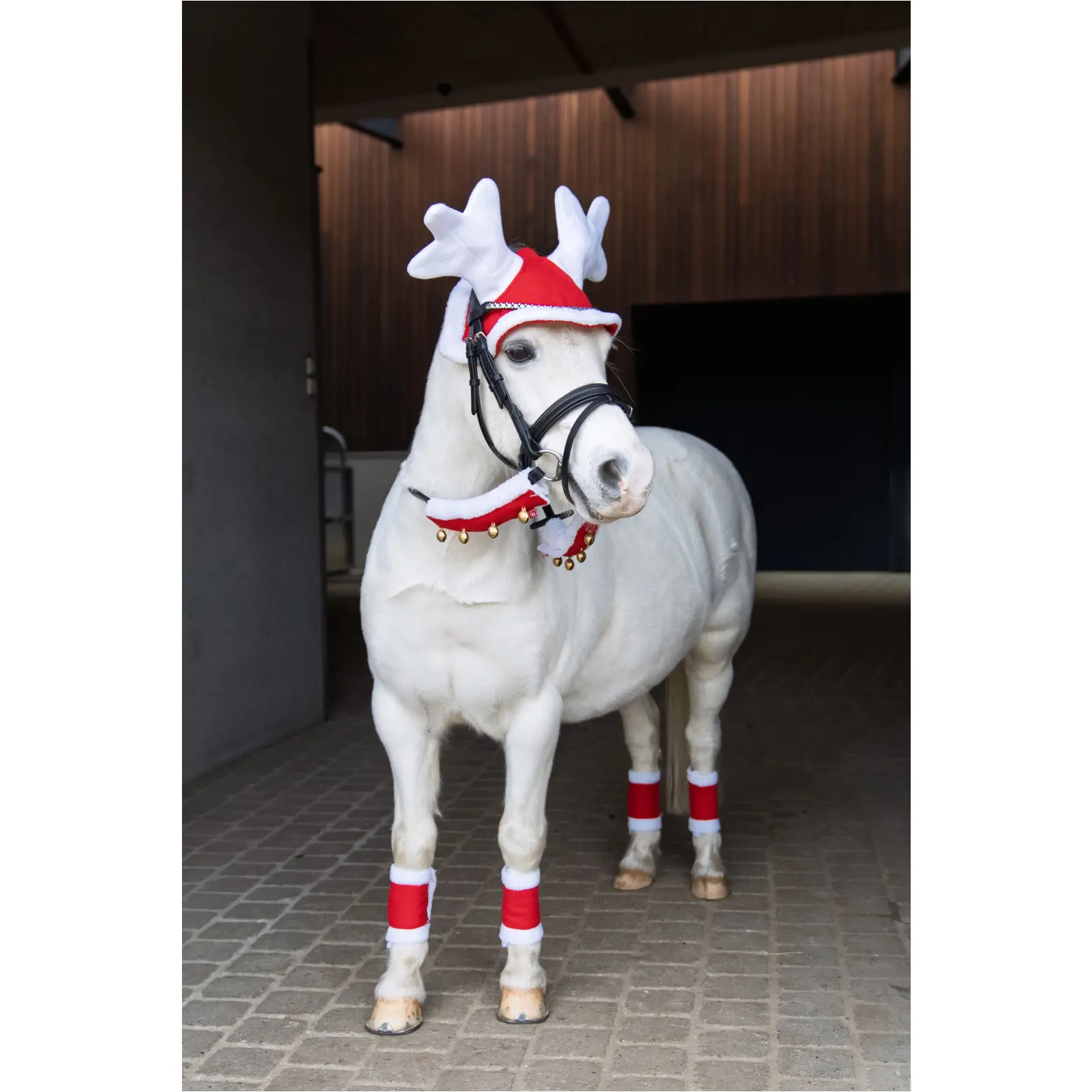 Weihnachtsgamaschen CHRISTMAS (4er Set) rot/weiß Weihnachtsgamaschen CHRISTMAS (4er Set) rot/weiß