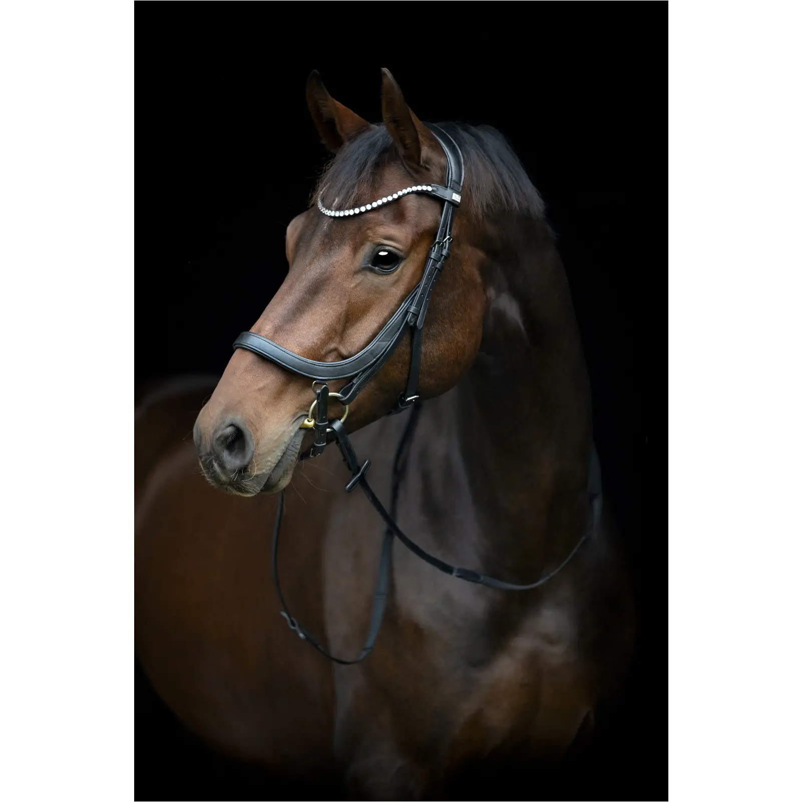 Trensenzaum anatomisch VINJA schwarz