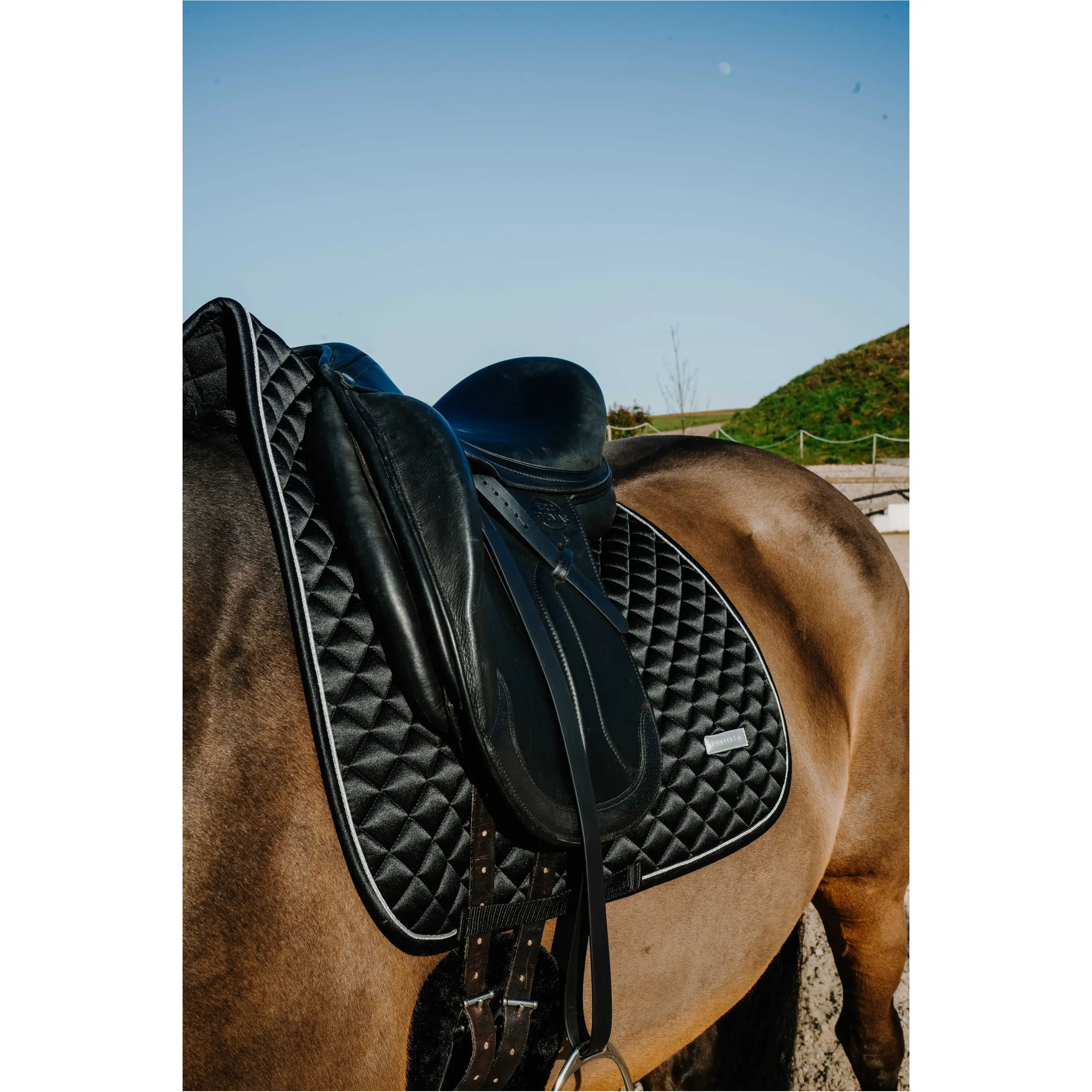 Dressurschabracke NACRE schwarz Warmblut
