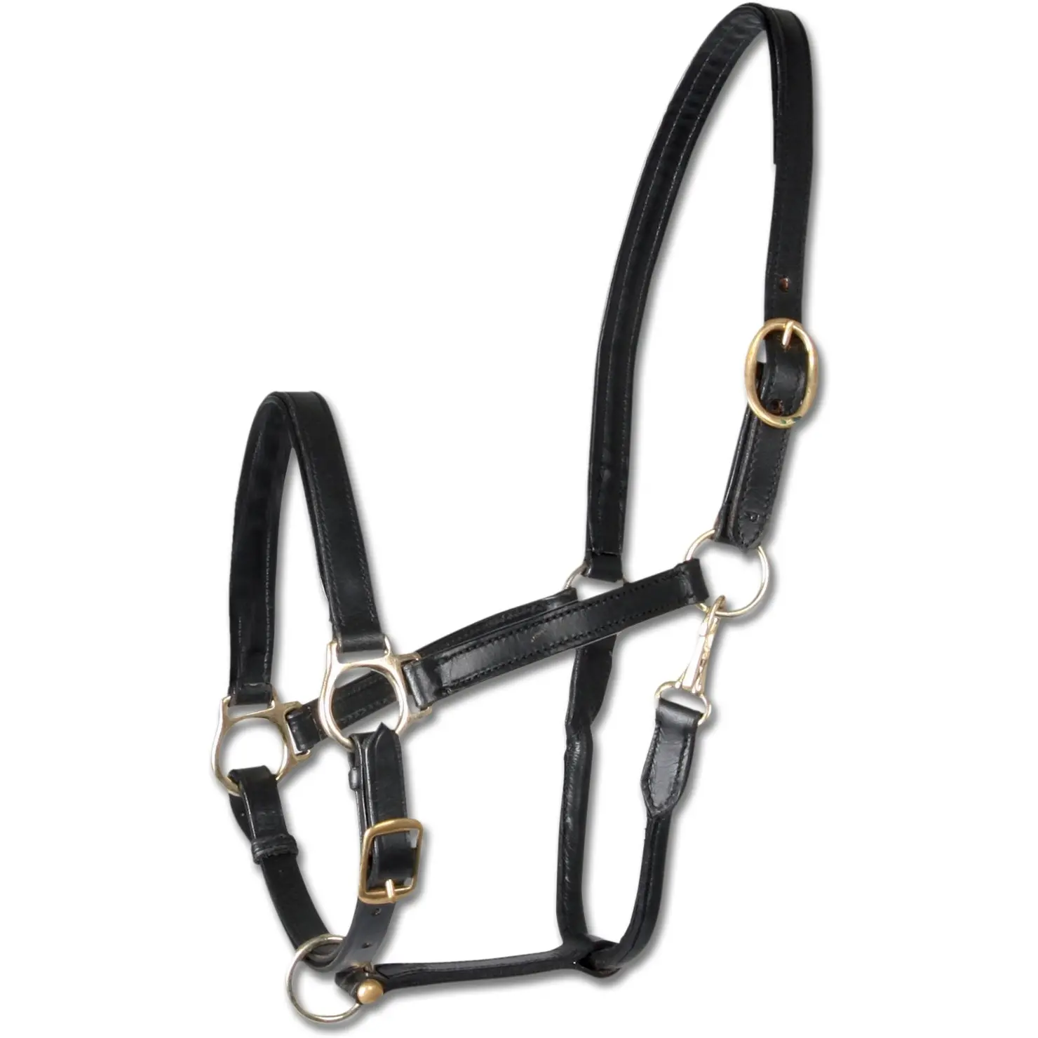 Halfter ROBUST Leder schwarz