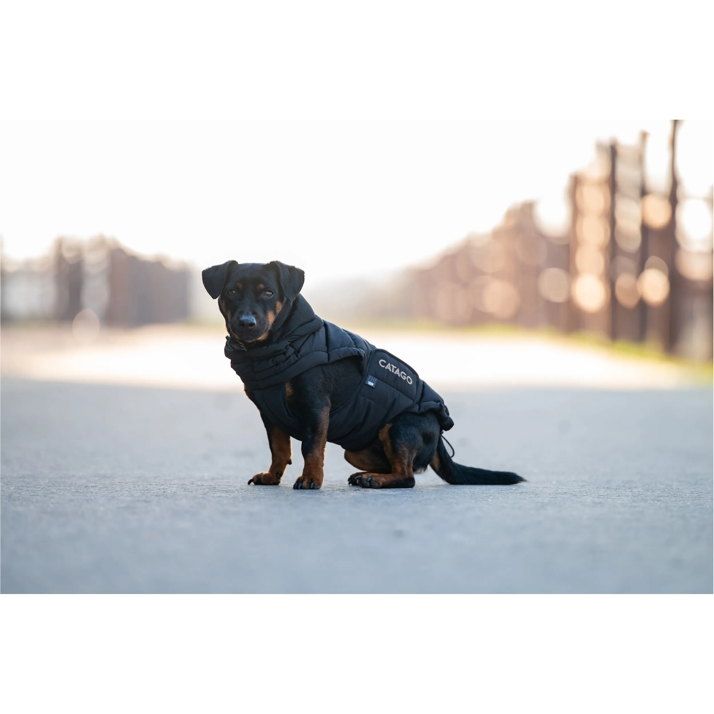 Hundedecke PUFFER FIR-Tech schwarz