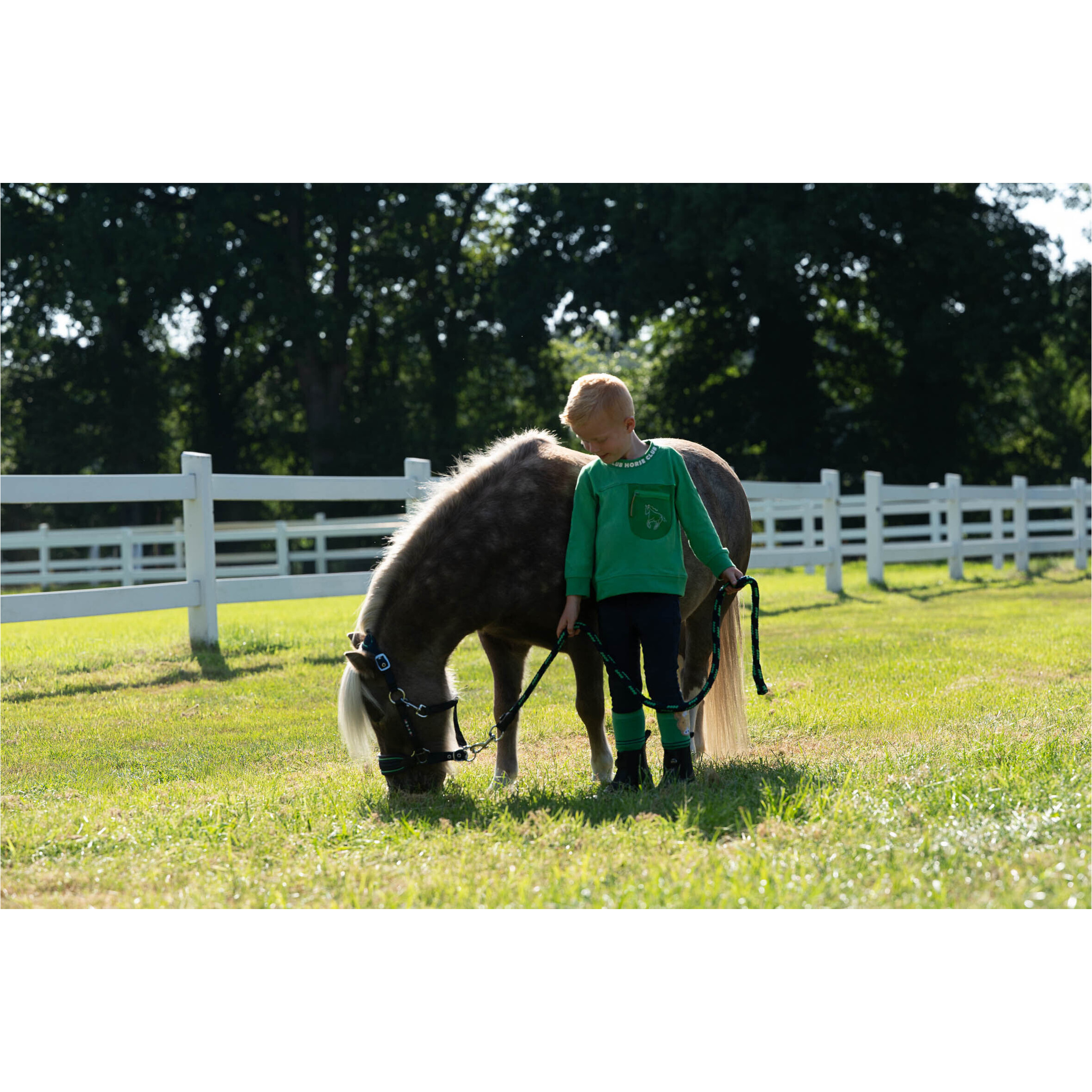 Führstrick mit Karabinerhaken MAUI dunkelblau/grün Führstrick mit Karabinerhaken MAUI dunkelblau/grün