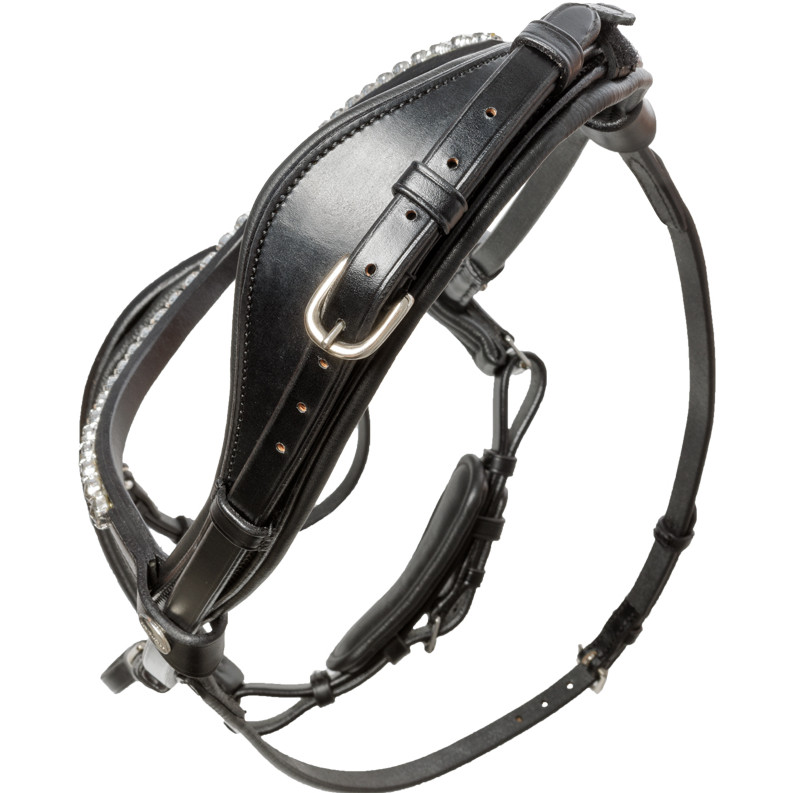 Trensenzaum mit schwedischen Reithalfter AYANA schwarz