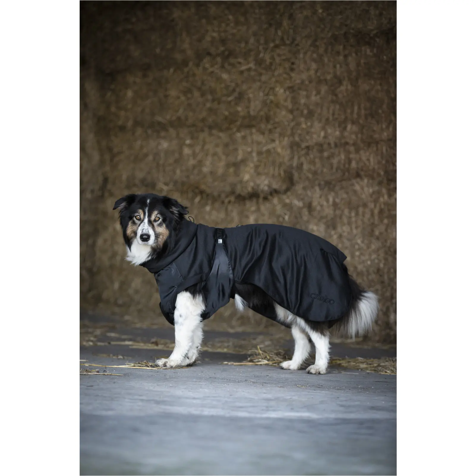 Hundedecke FIR-Tech schwarz Hundedecke FIR-Tech schwarz