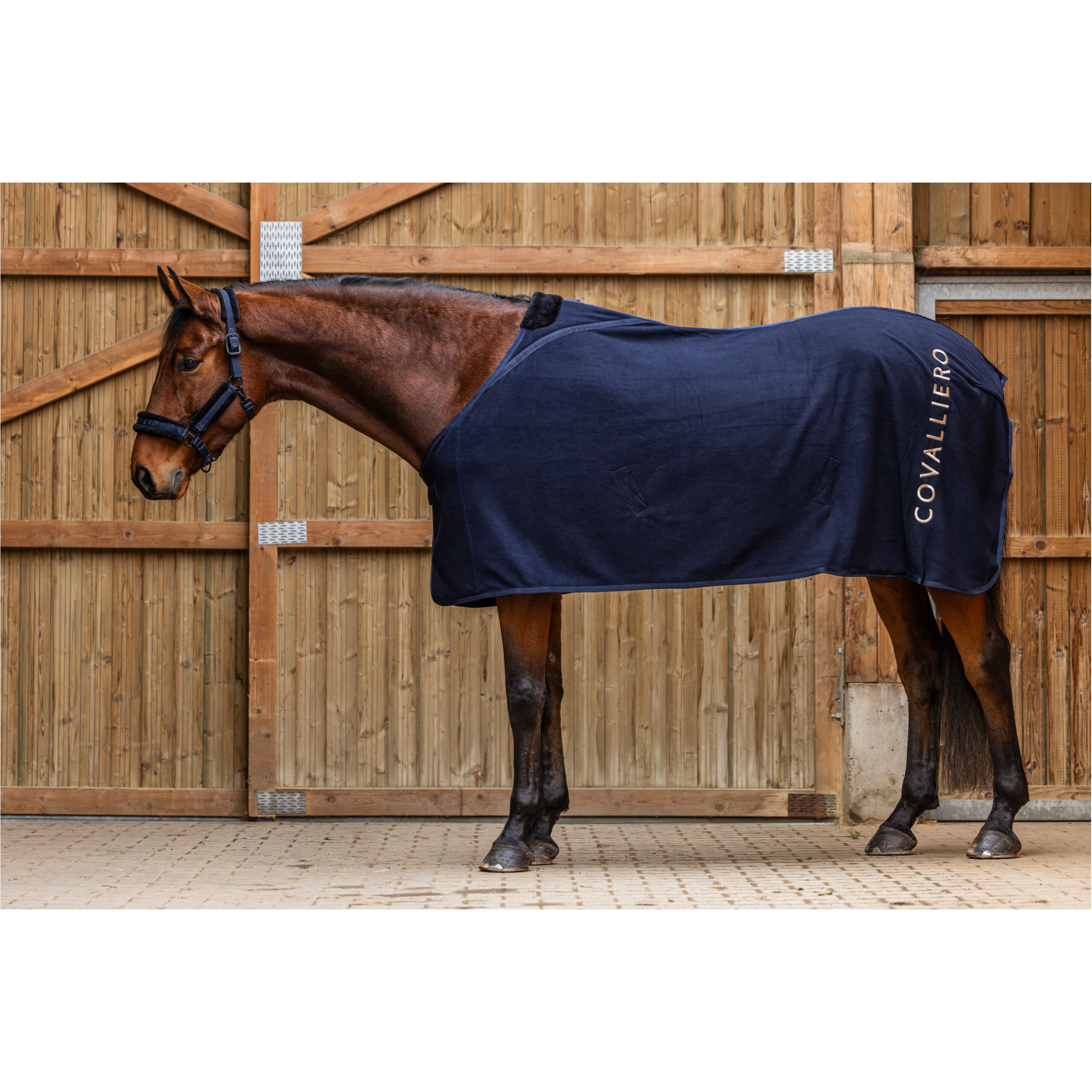 Fleecedecke H/W 2025 dark navy