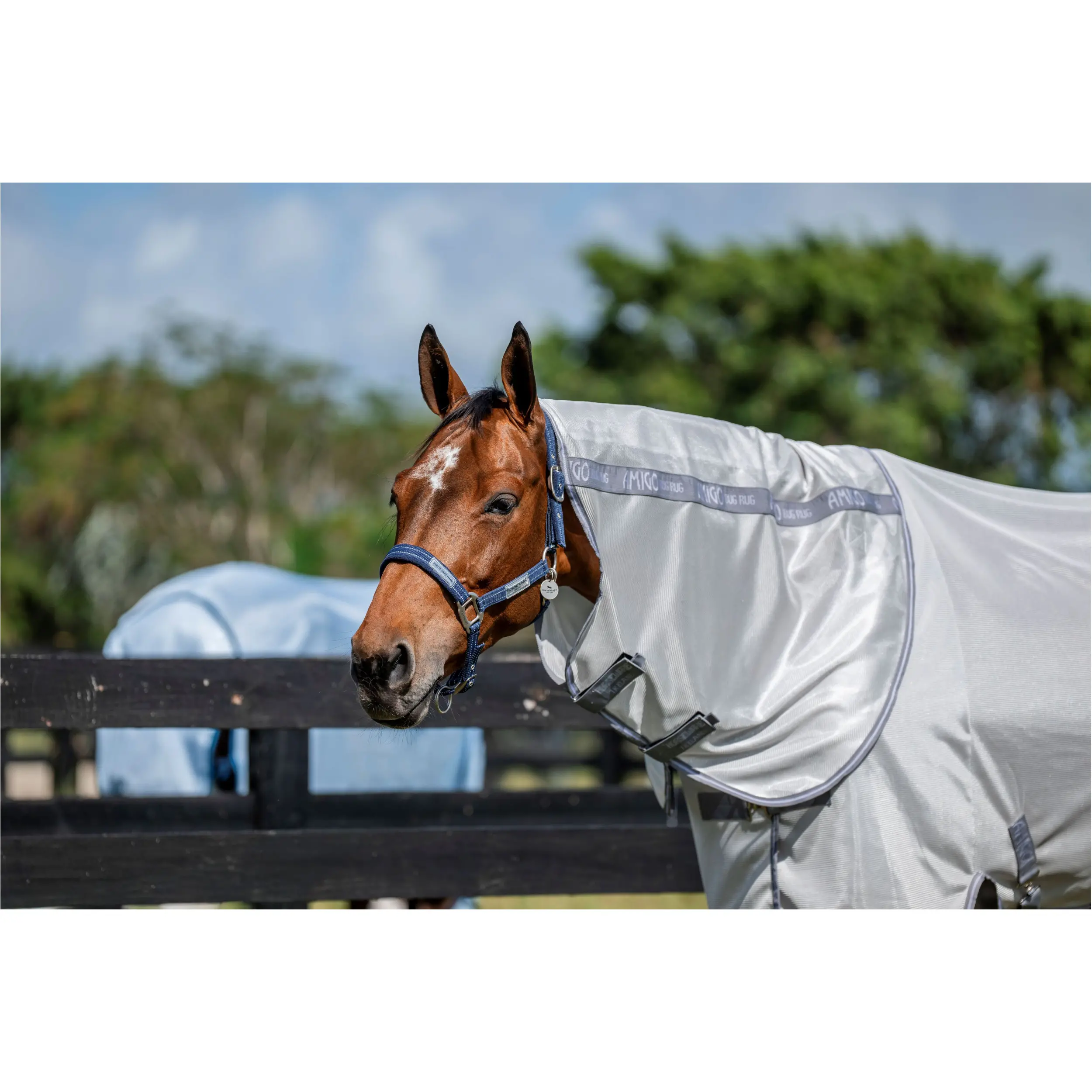 Halsteil AMIGO Bug Rug Hood silver/titanium grey