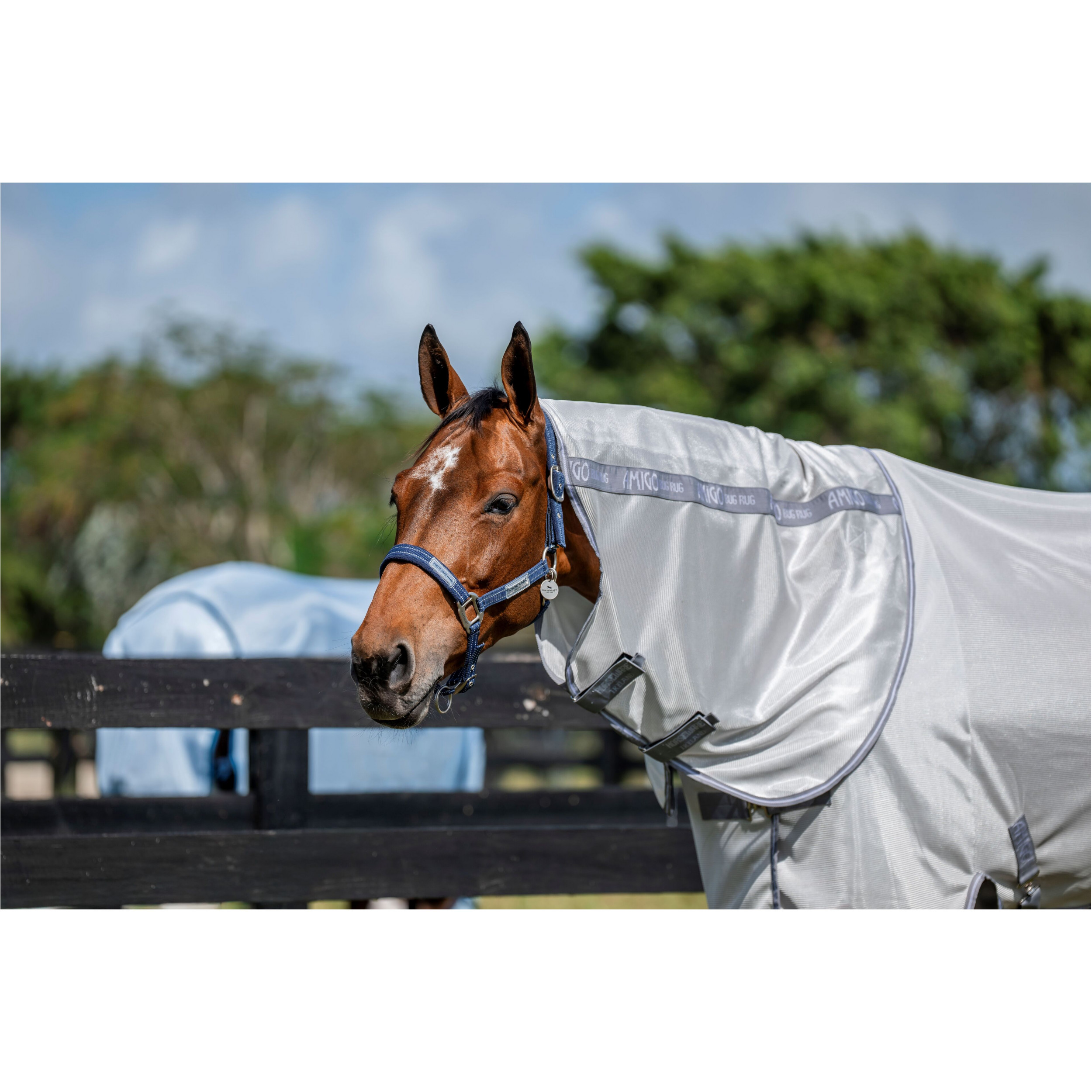 Halsteil AMIGO Bug Rug Hood silver/titanium grey