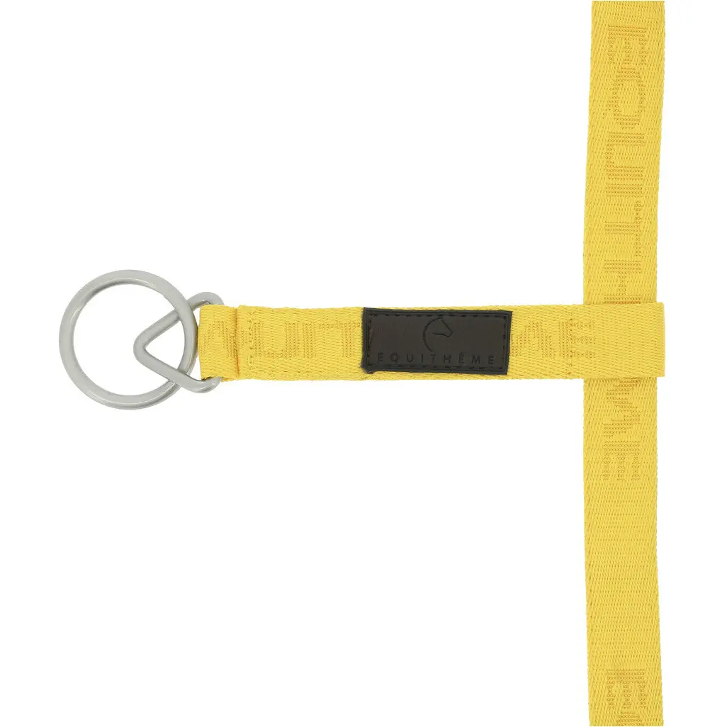 Nylonhalfter JACQUARD gold Nylonhalfter JACQUARD gold