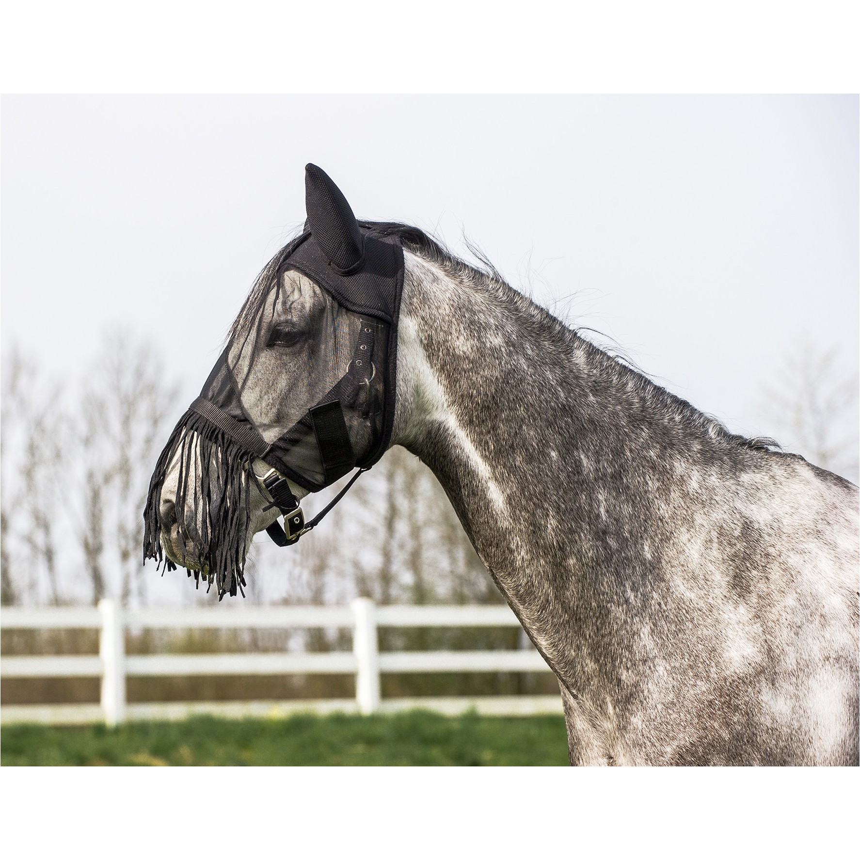 Fliegenmaske schwarz Warmblut