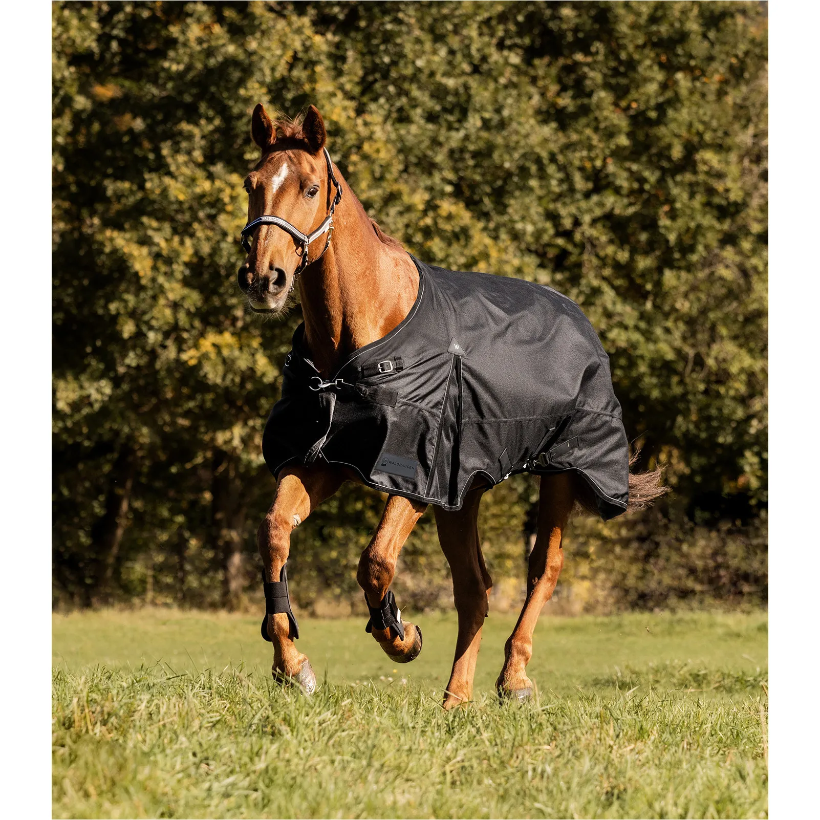 Outdoordecke 300g Füllung 1200D SCANDIC schwarz