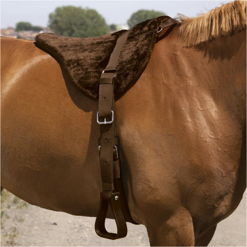 Reitpad CONFORT braun