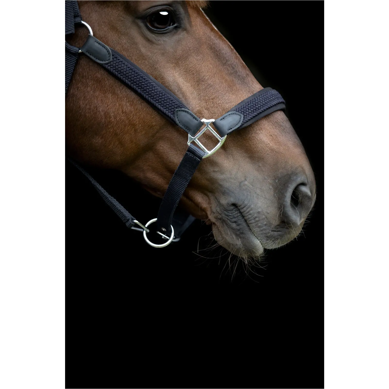 Halfter geflochten VARDIA navy Halfter geflochten VARDIA navy