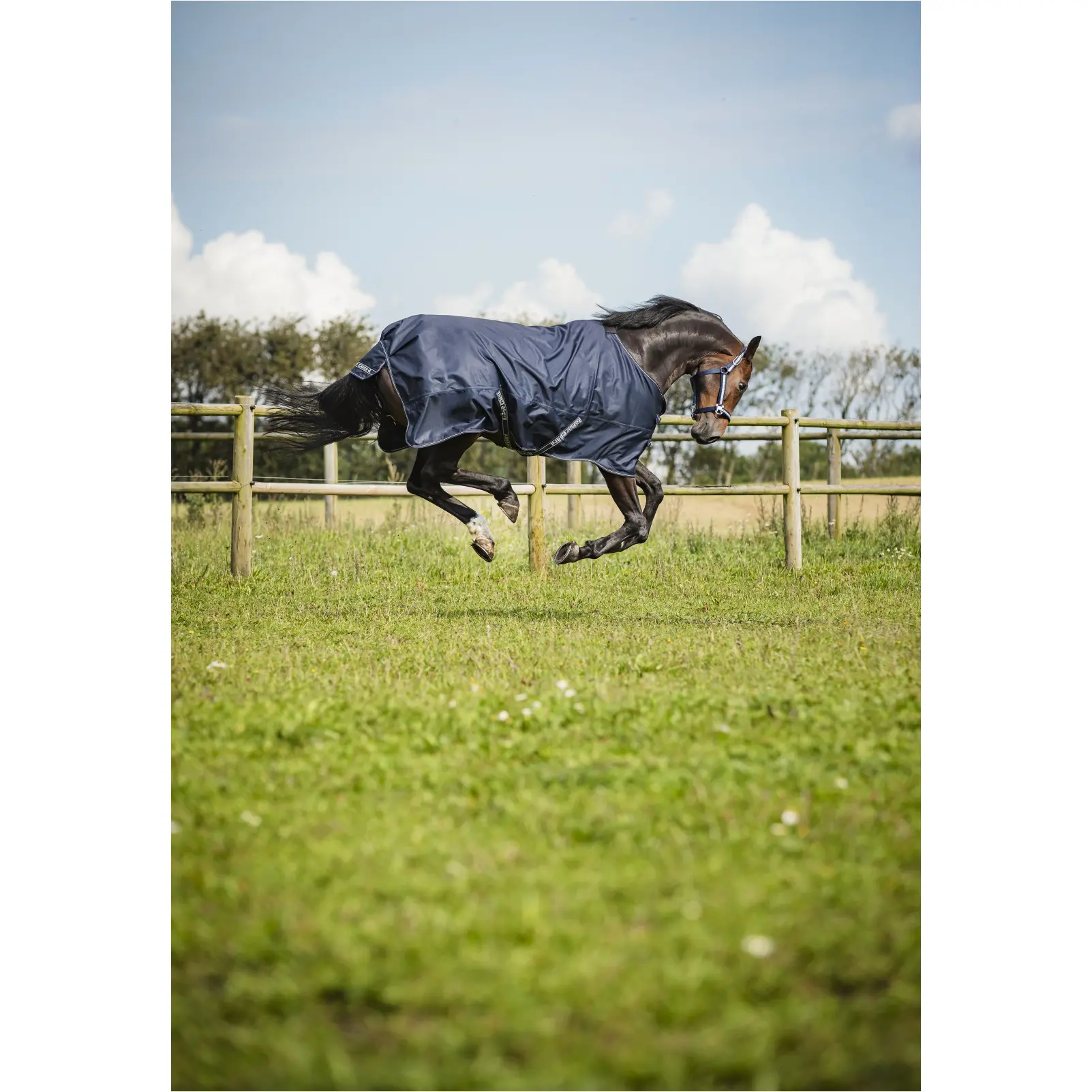 Turnoutdecke 1200D LANDON navy