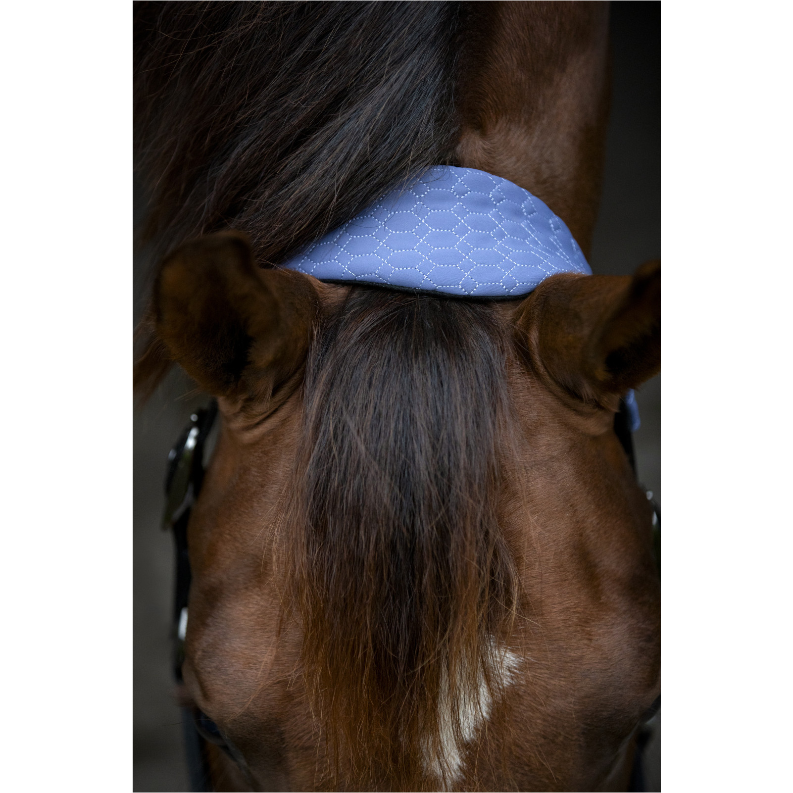 Halfter FIR-Tech GRAND crown blue