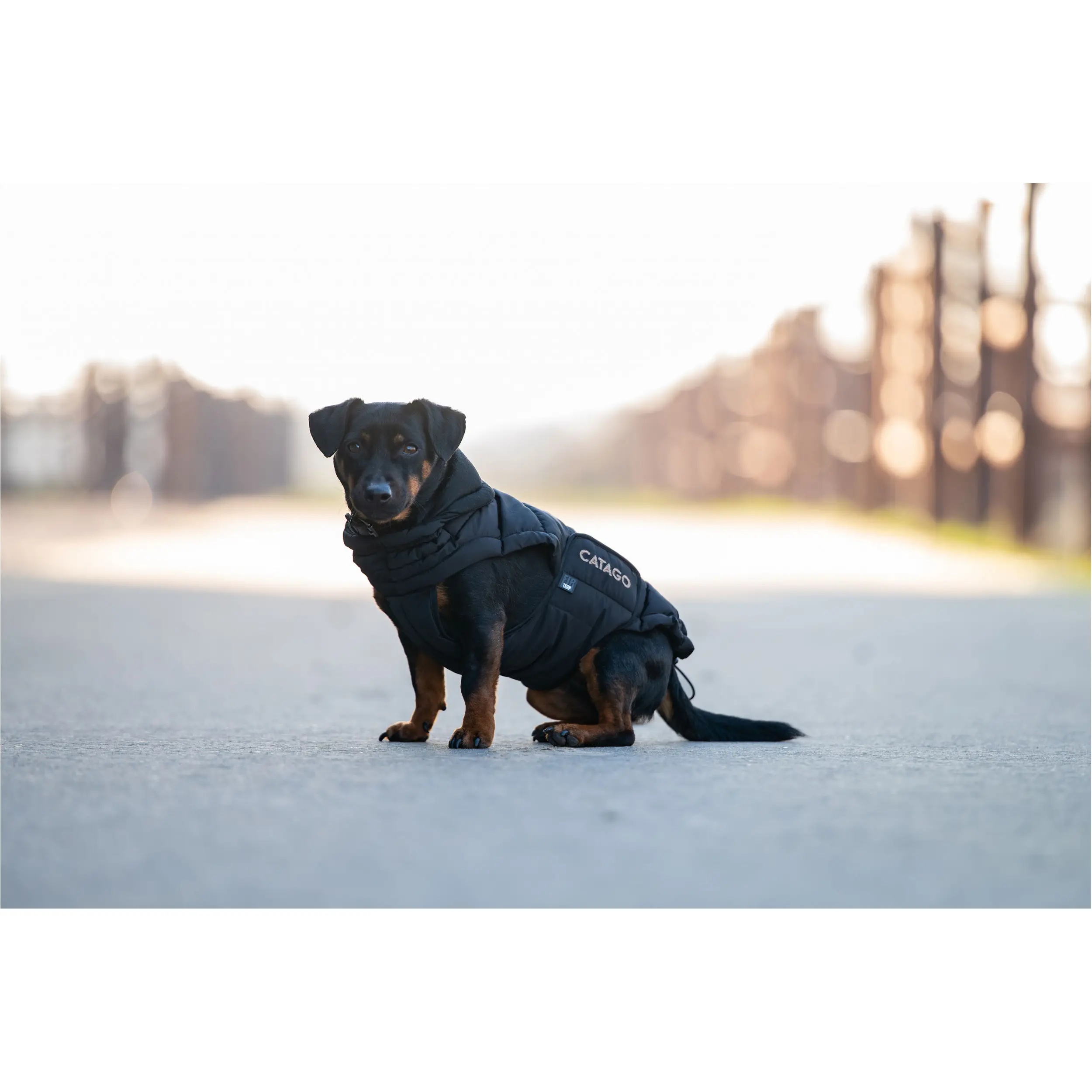 Hundedecke PUFFER FIR-Tech schwarz