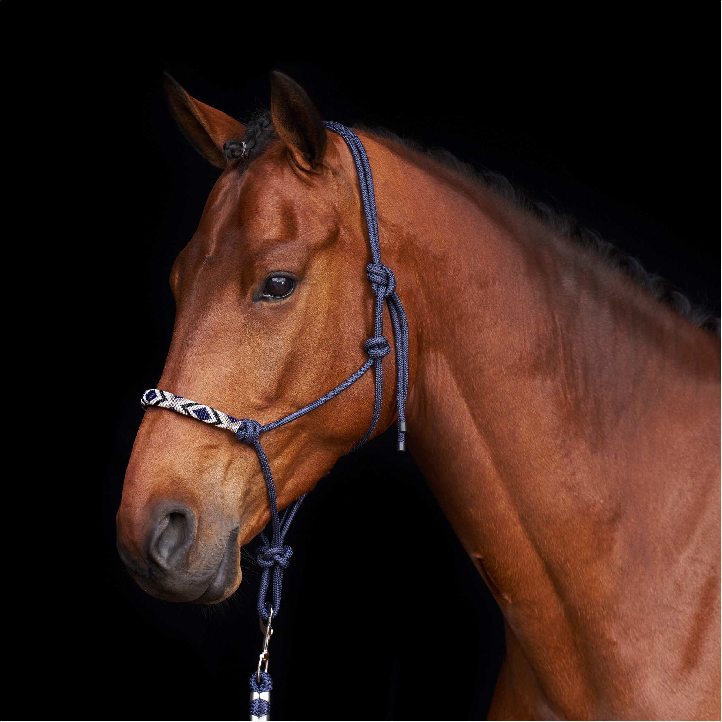 Halfter HVPLamu navy