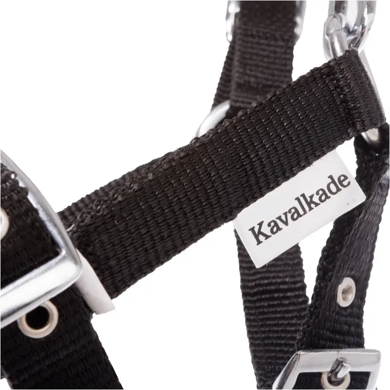 Fohlenhalfter schwarz