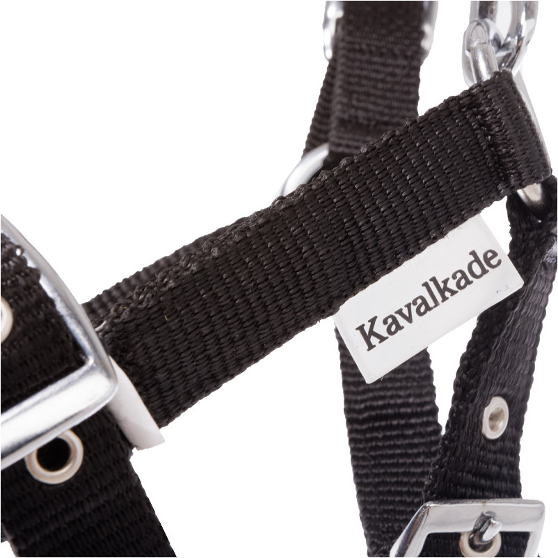 Fohlenhalfter schwarz Fohlenhalfter schwarz