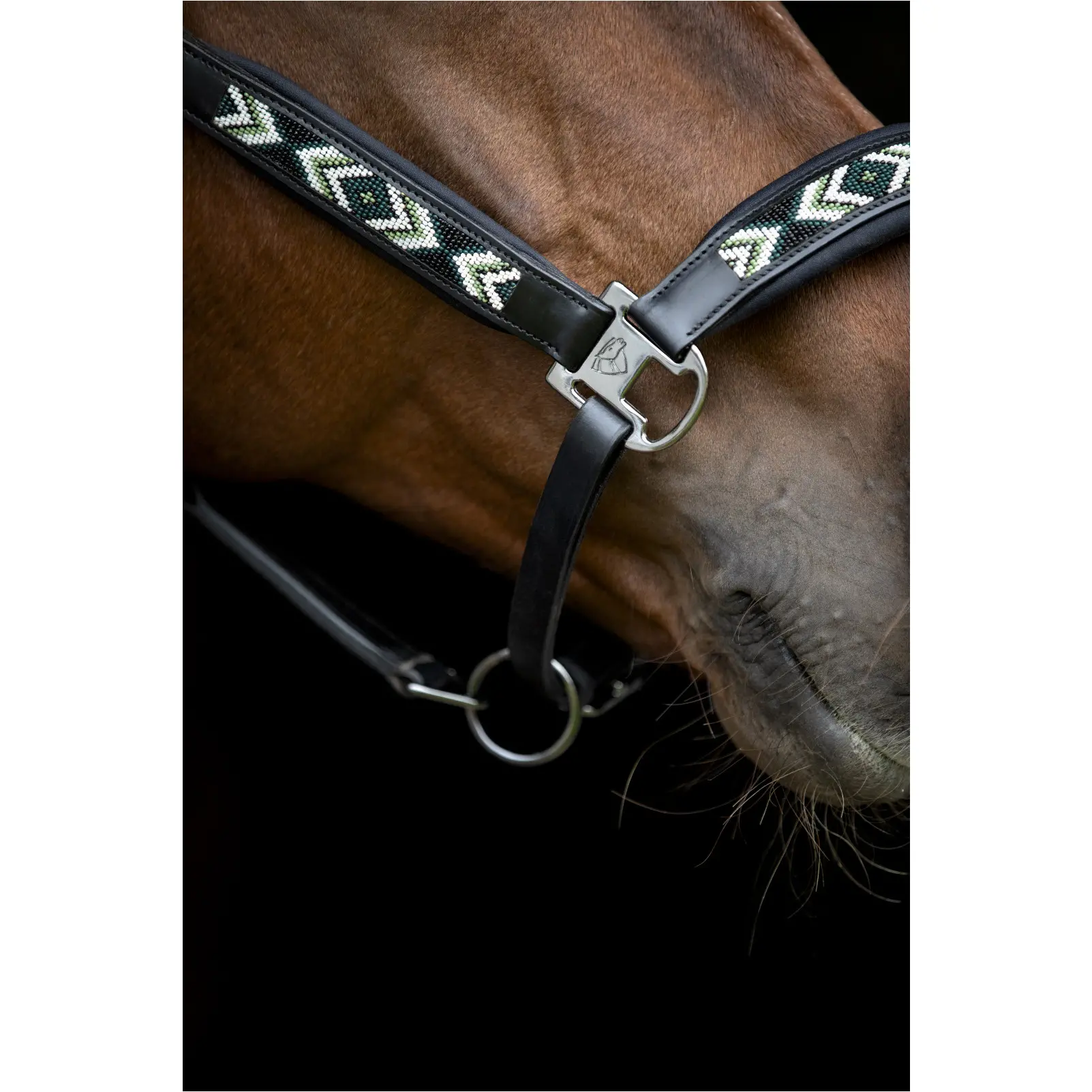 Lederhalfter VANAMO schwarz Lederhalfter VANAMO schwarz