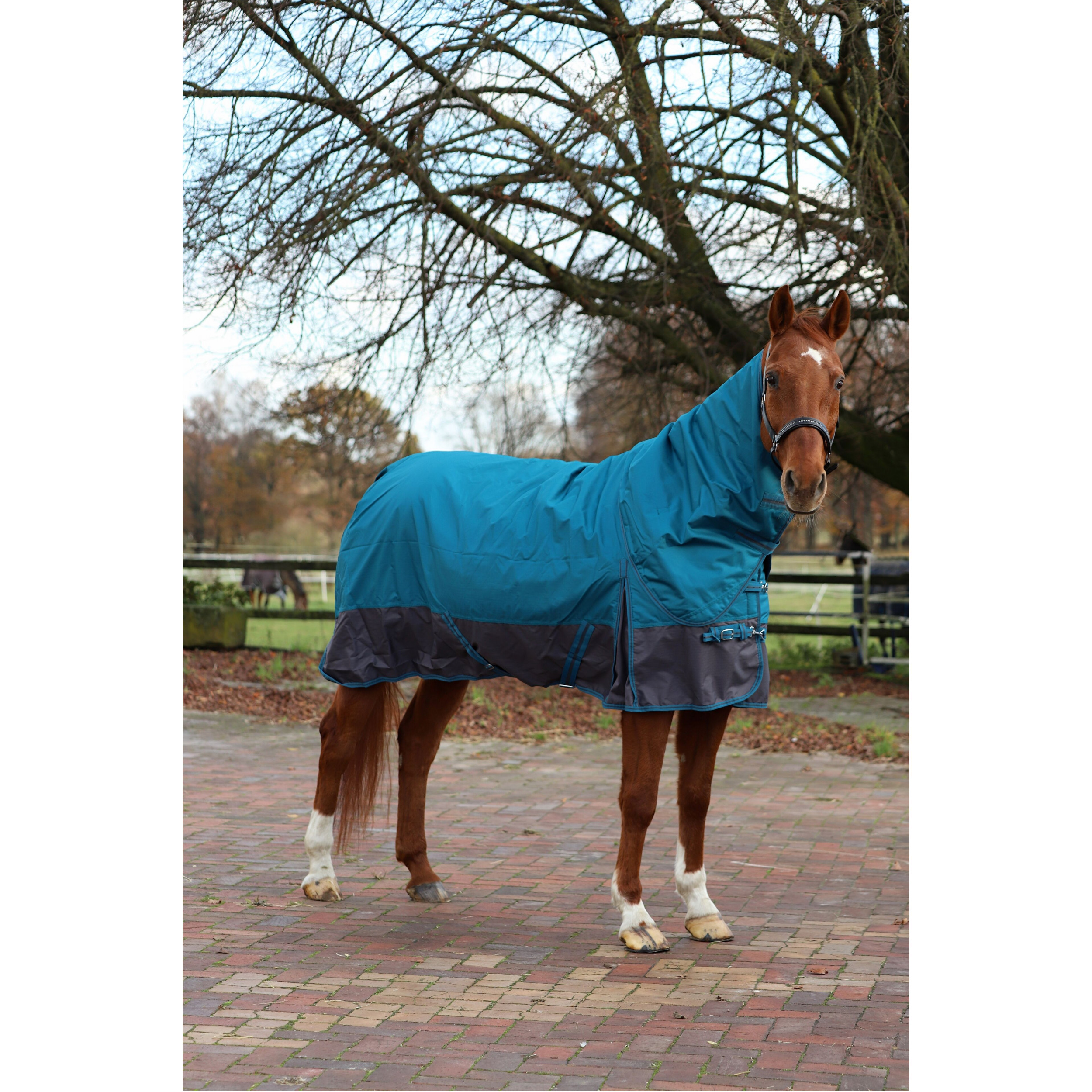 Weidedecke Full Neck Polarfleece 600D BASICLINE petrol/graphit