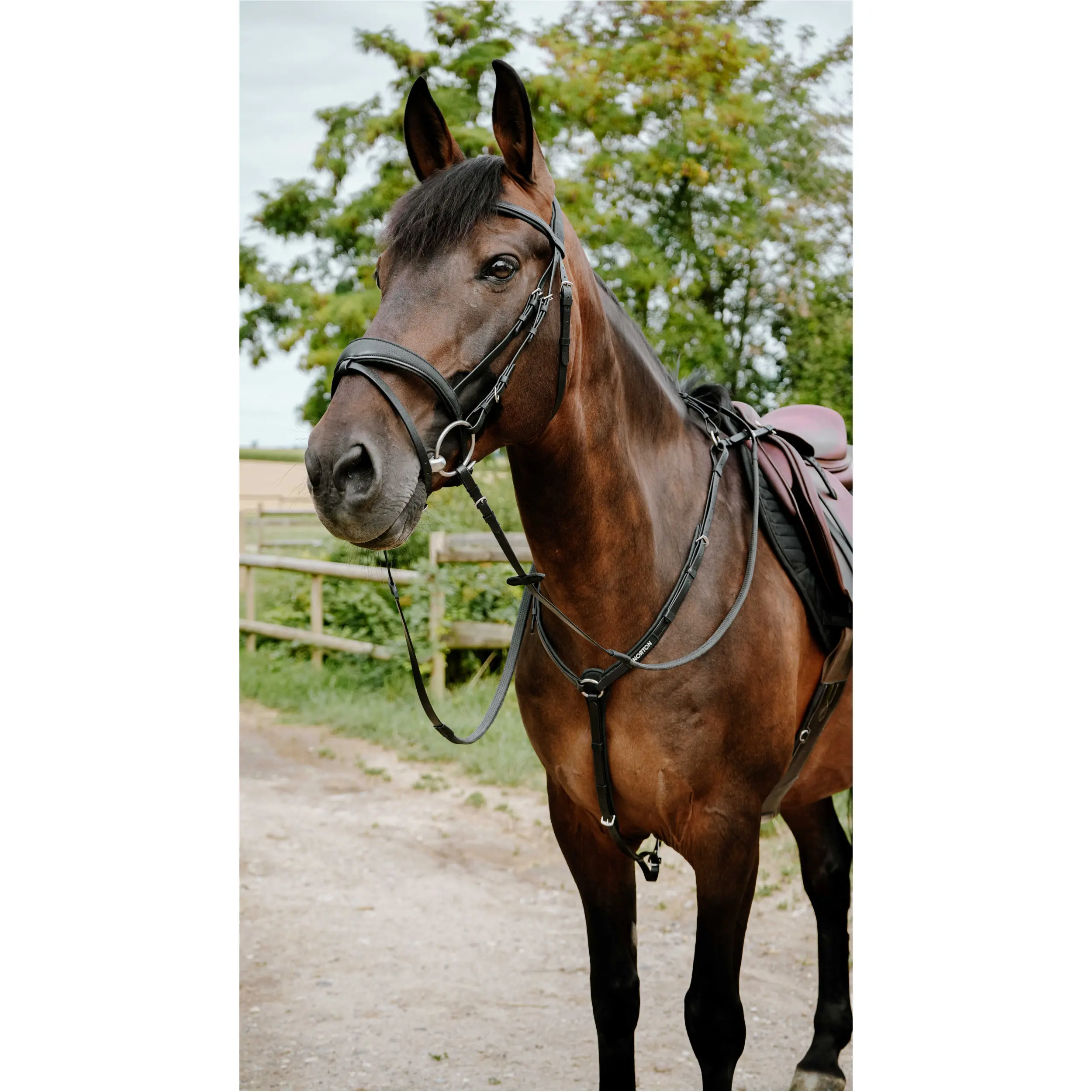 Trensenzaum ENDURANCE POP schwarz