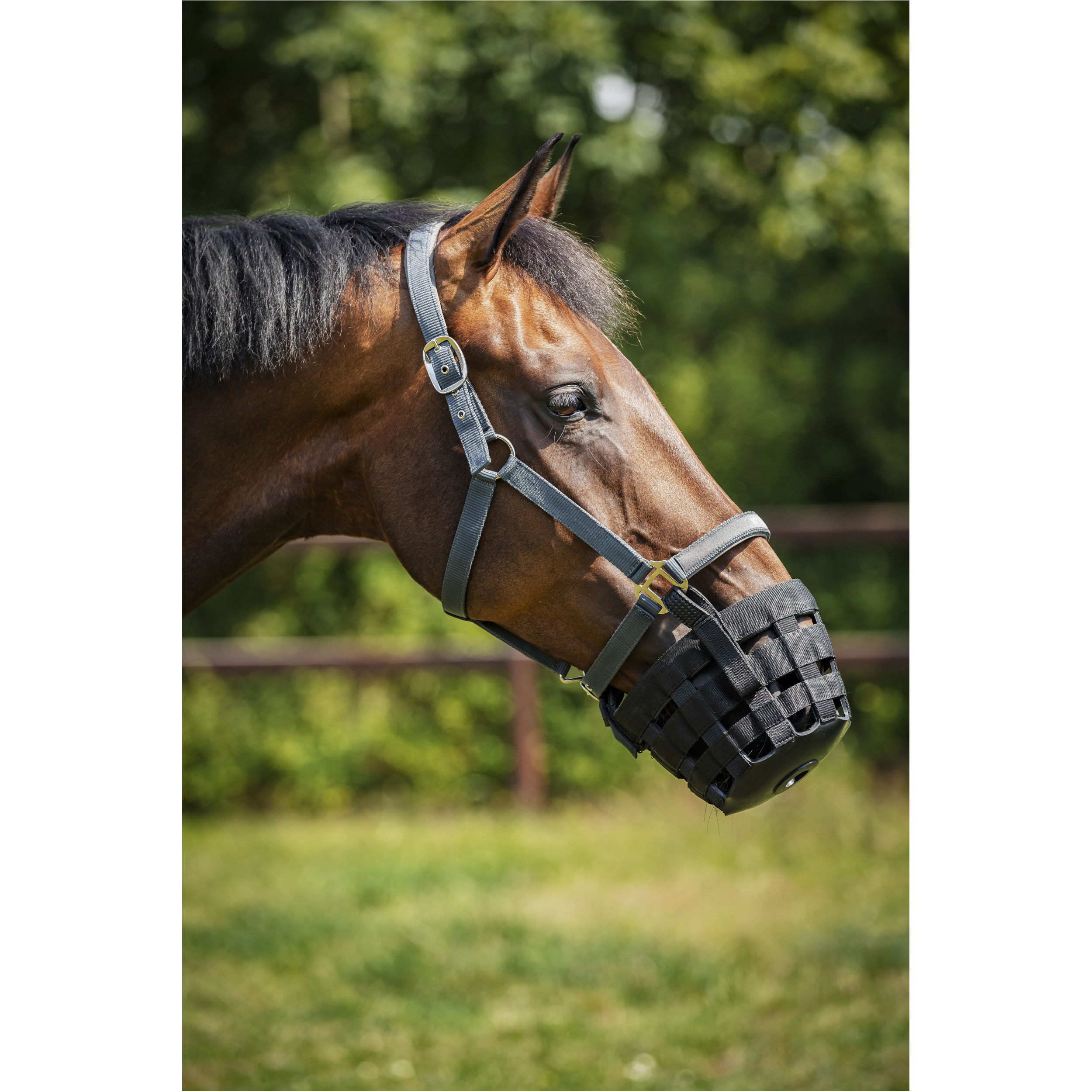 Fressbremse für Halfter schwarz Fressbremse für Halfter schwarz