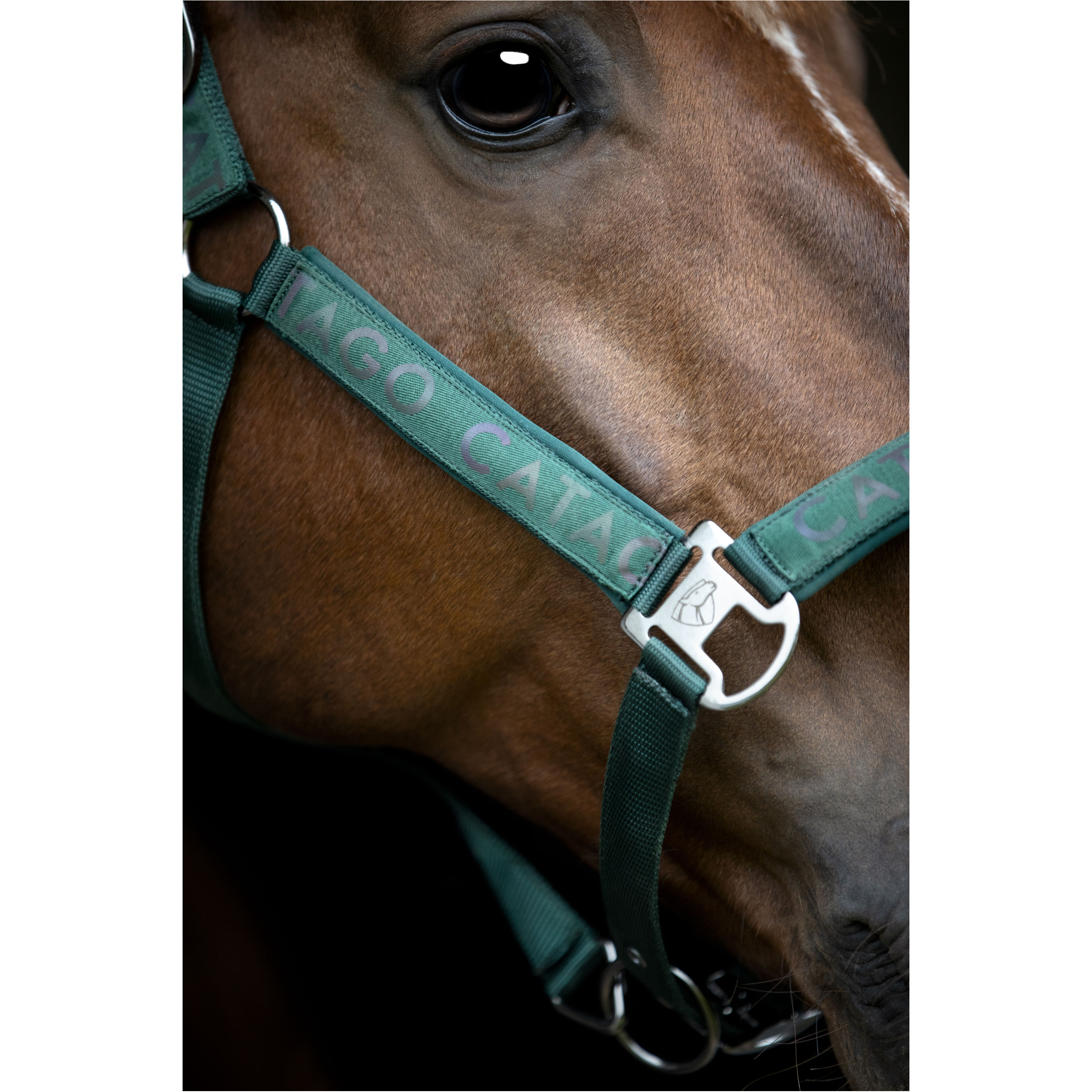 Halfter reflektierendes Logo ALEA ponderosa pine Halfter reflektierendes Logo ALEA ponderosa pine