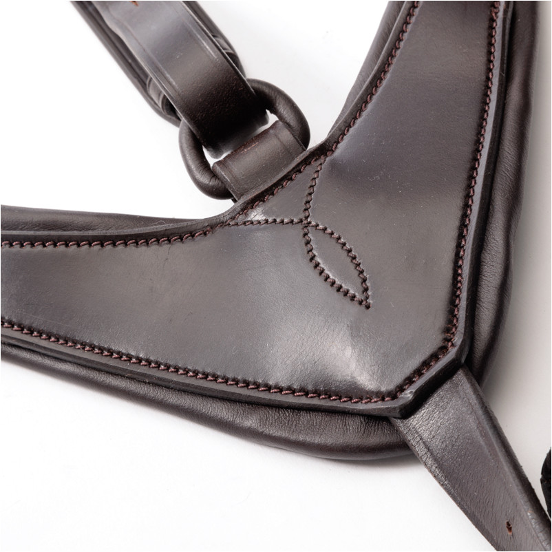 Vorderzeug mit Elast ROBIN braun/messing Vorderzeug mit Elast ROBIN braun/messing