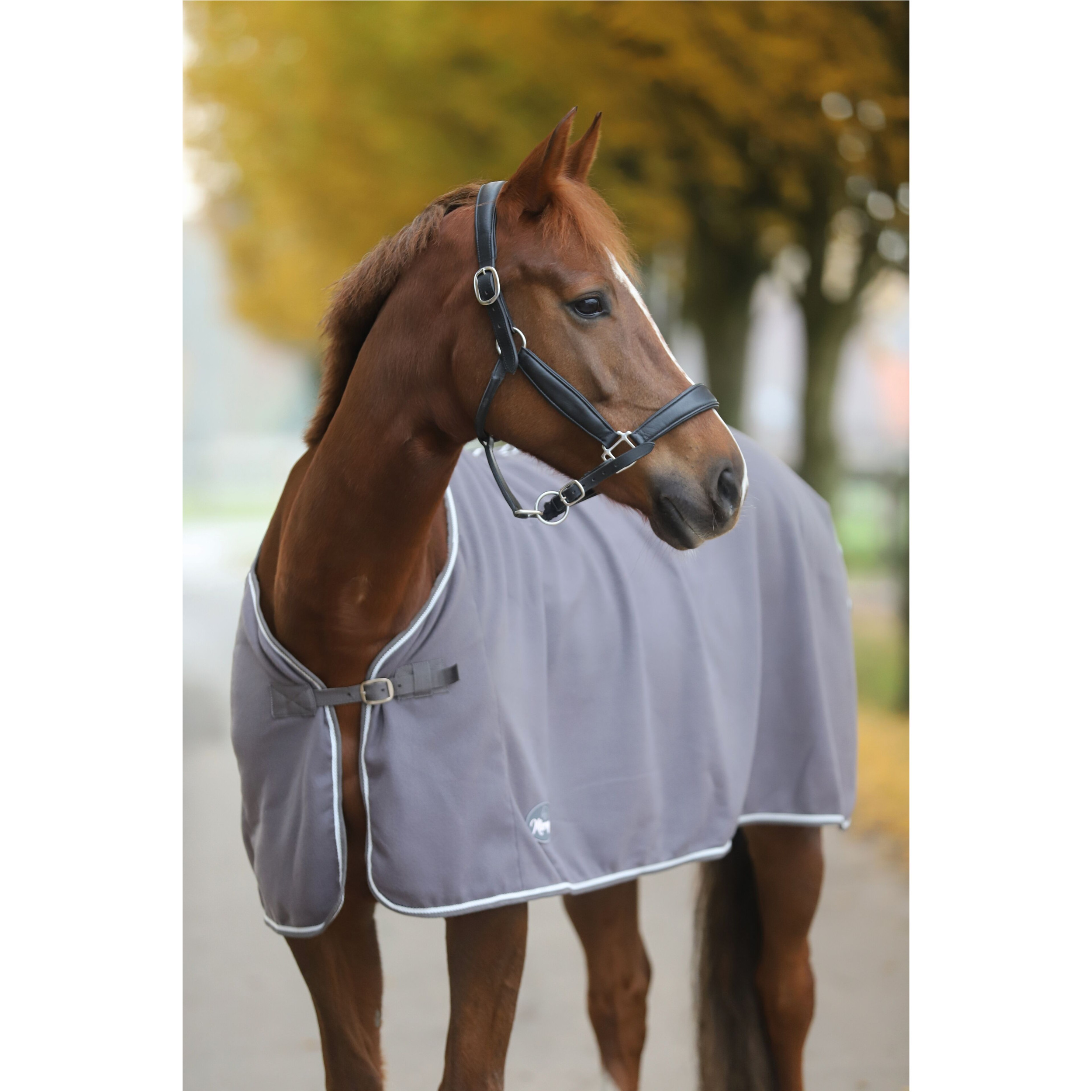 Abschwitzdecke ECONOMIC grau Abschwitzdecke ECONOMIC grau