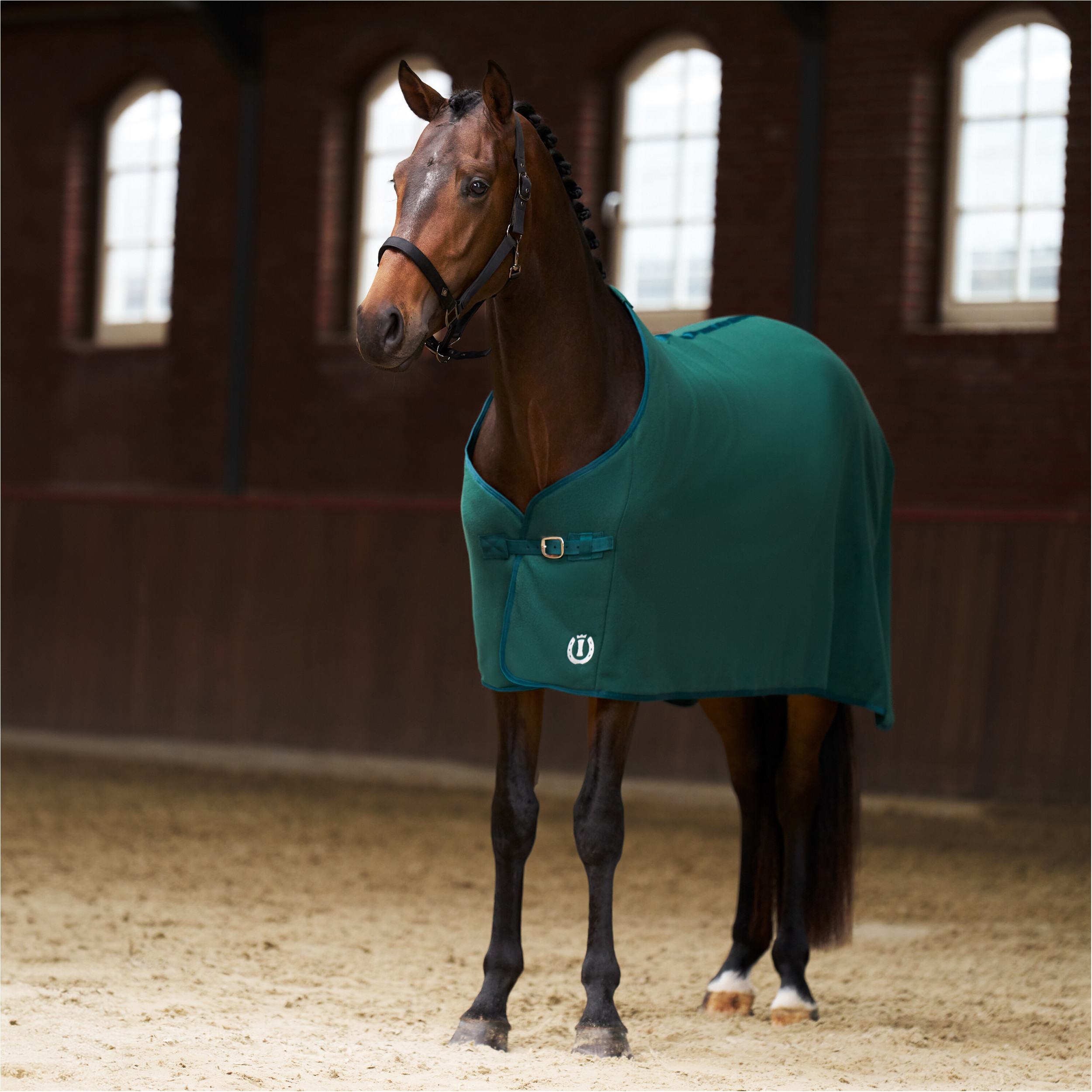 Fleecedecke IRHFundamental BASIC forest green Fleecedecke IRHFundamental BASIC forest green