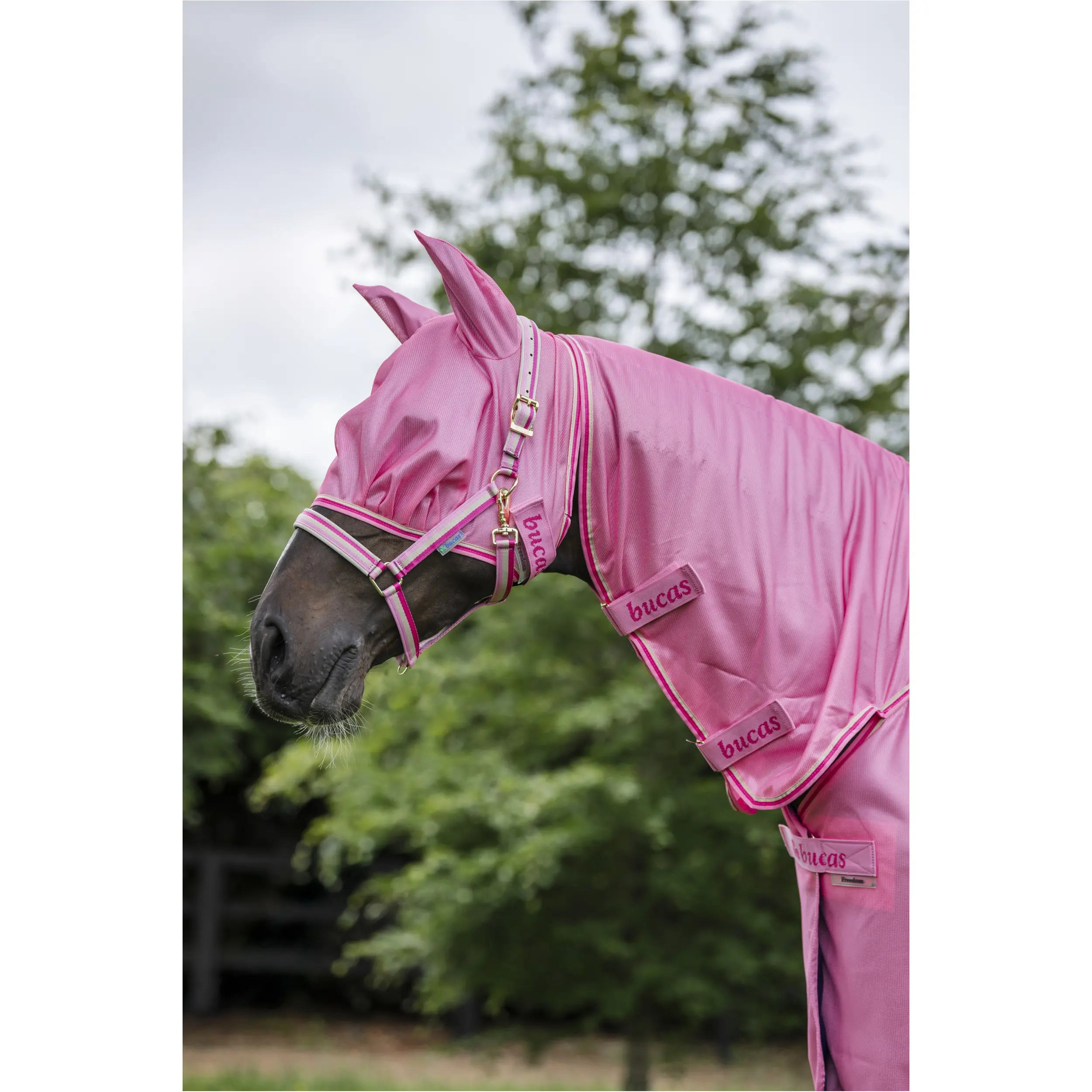aurora pink